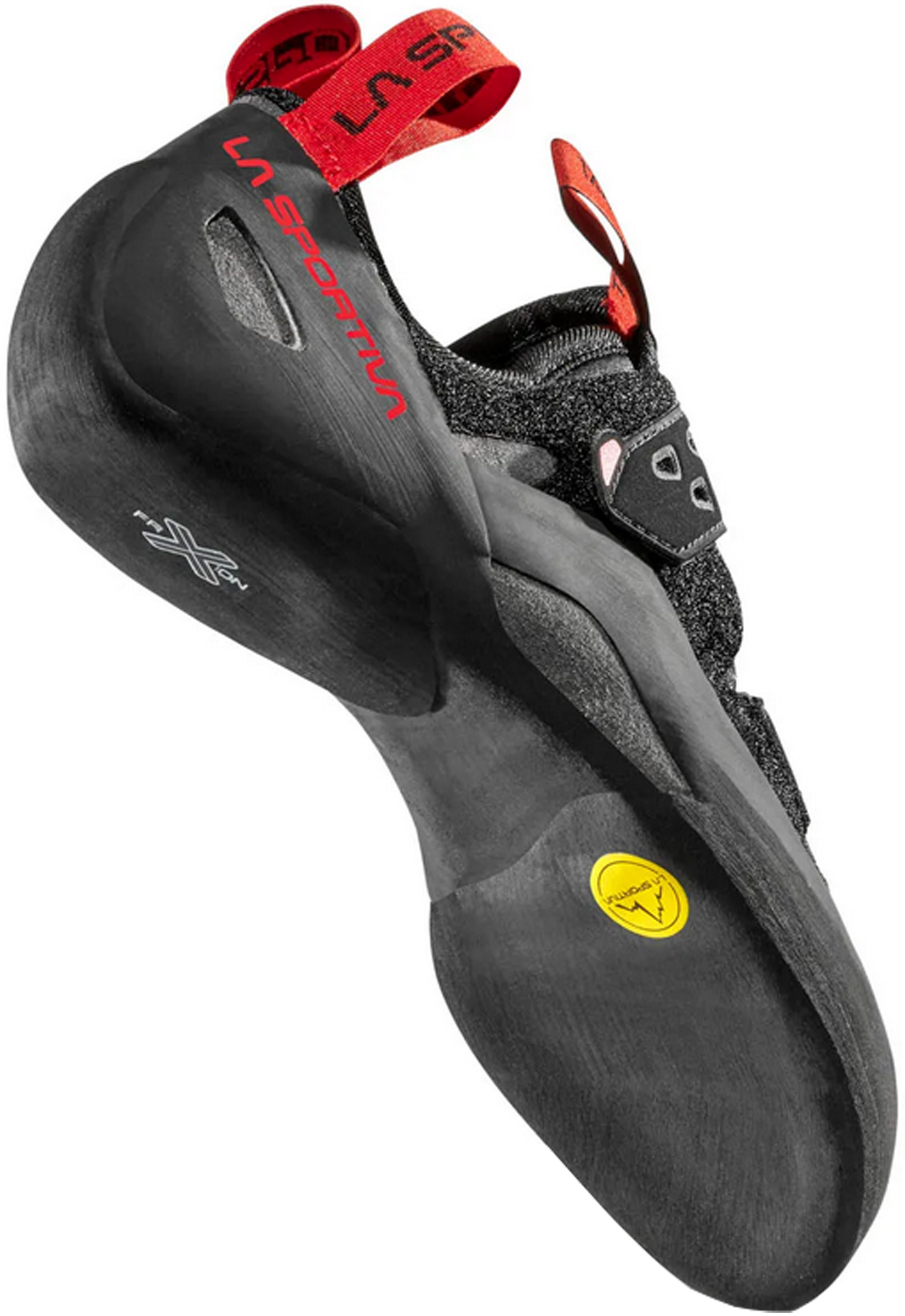 Tarantula Boulder Unisex