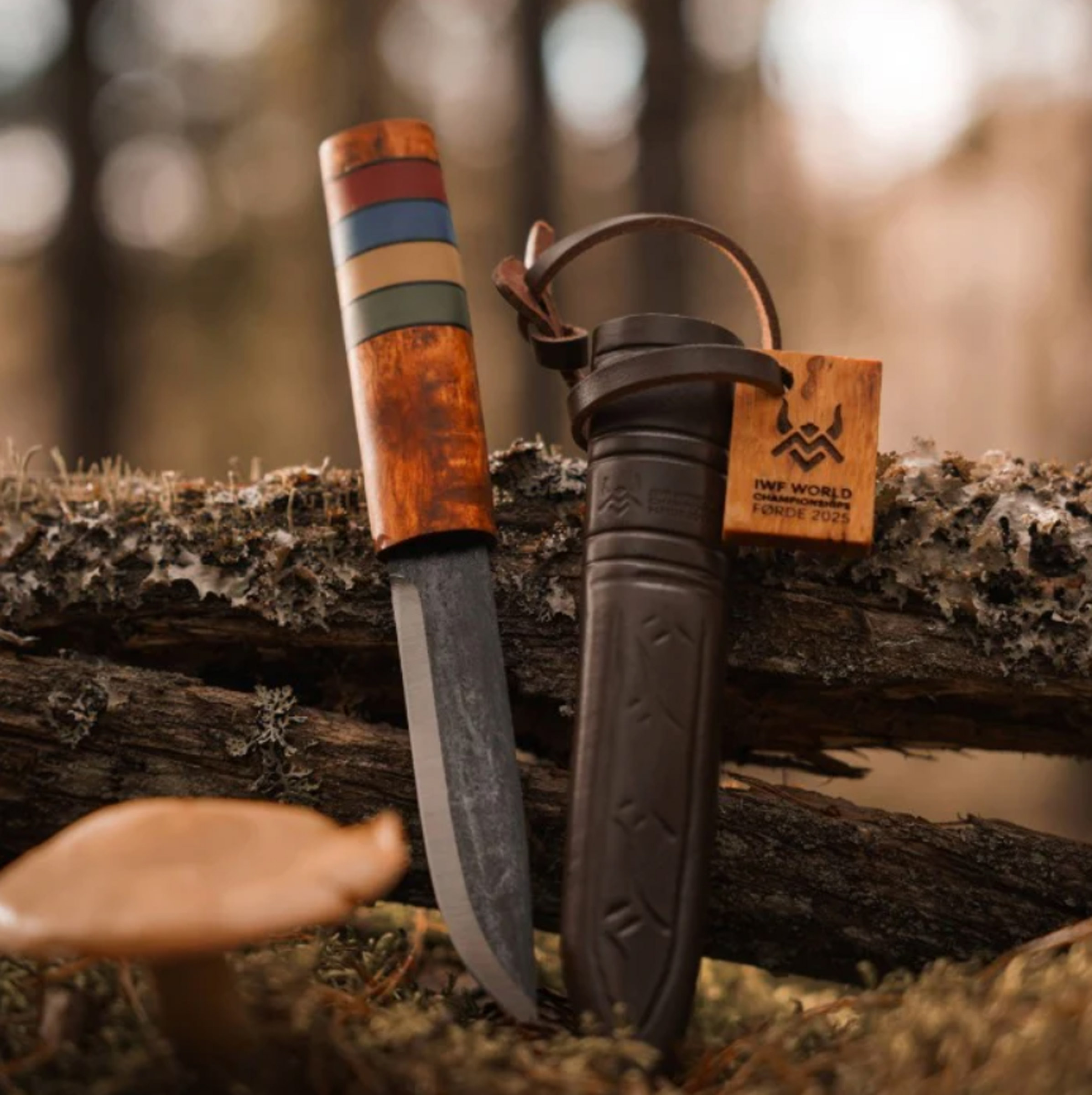 Viking Classic Knife - WWC 2025 Special Edition