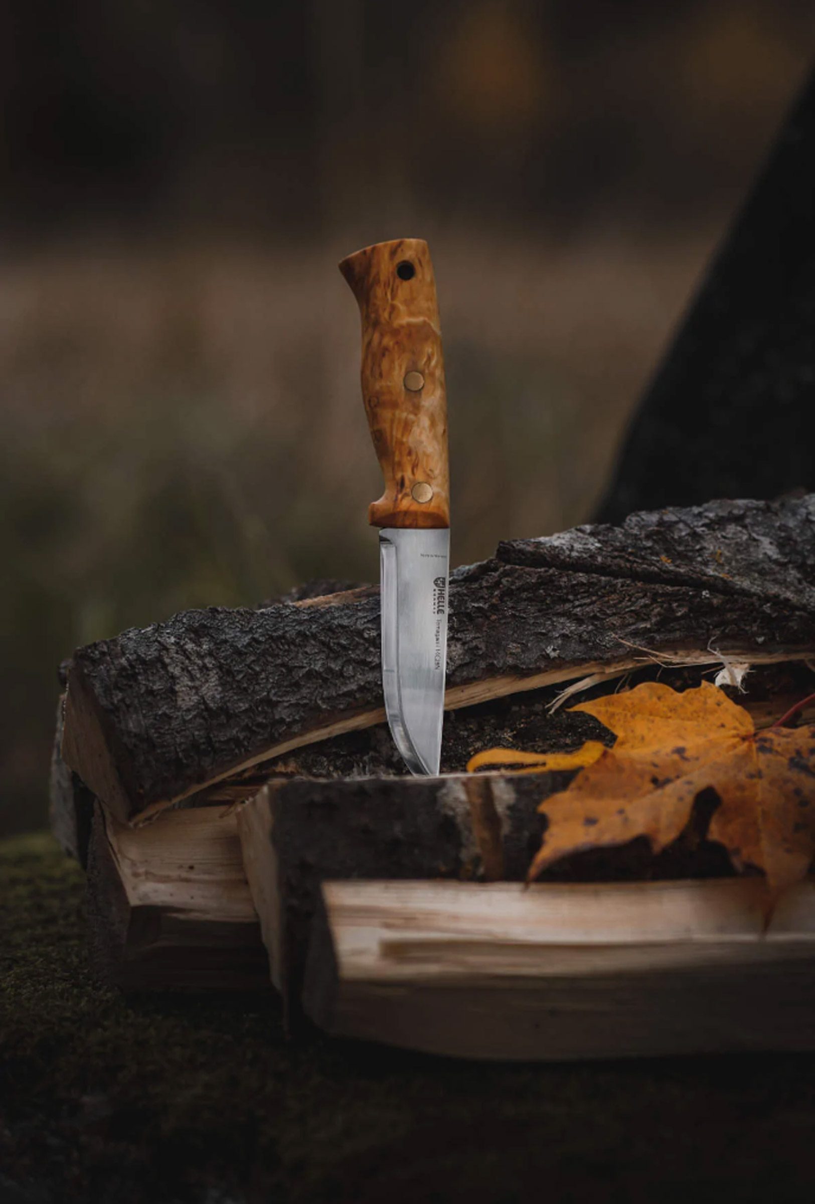 Temagami 14C28N Full Tang Knife