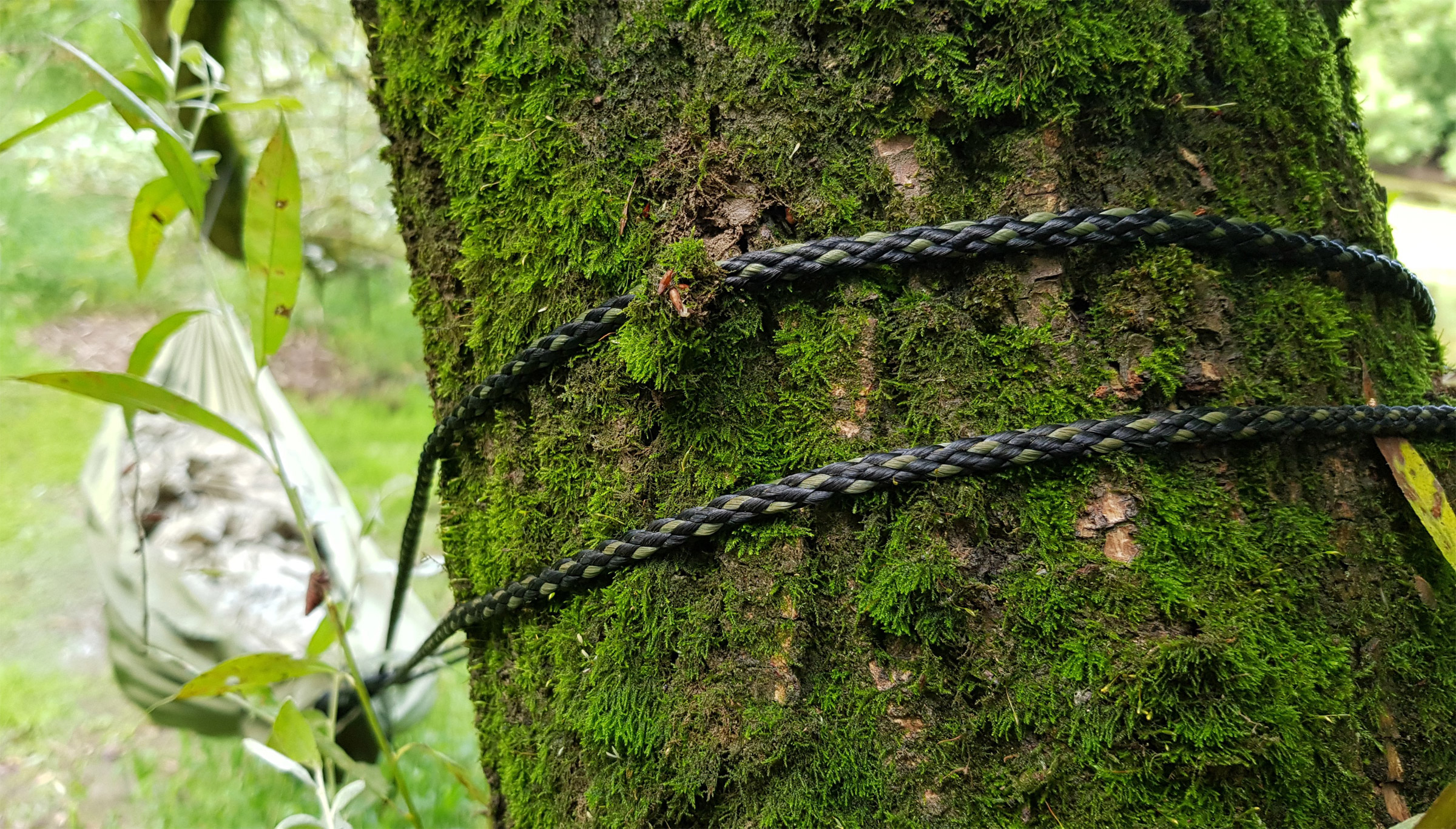 Zen Long Hængekøje