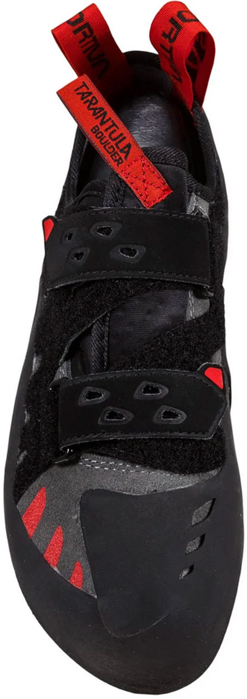 Tarantula Boulder Unisex