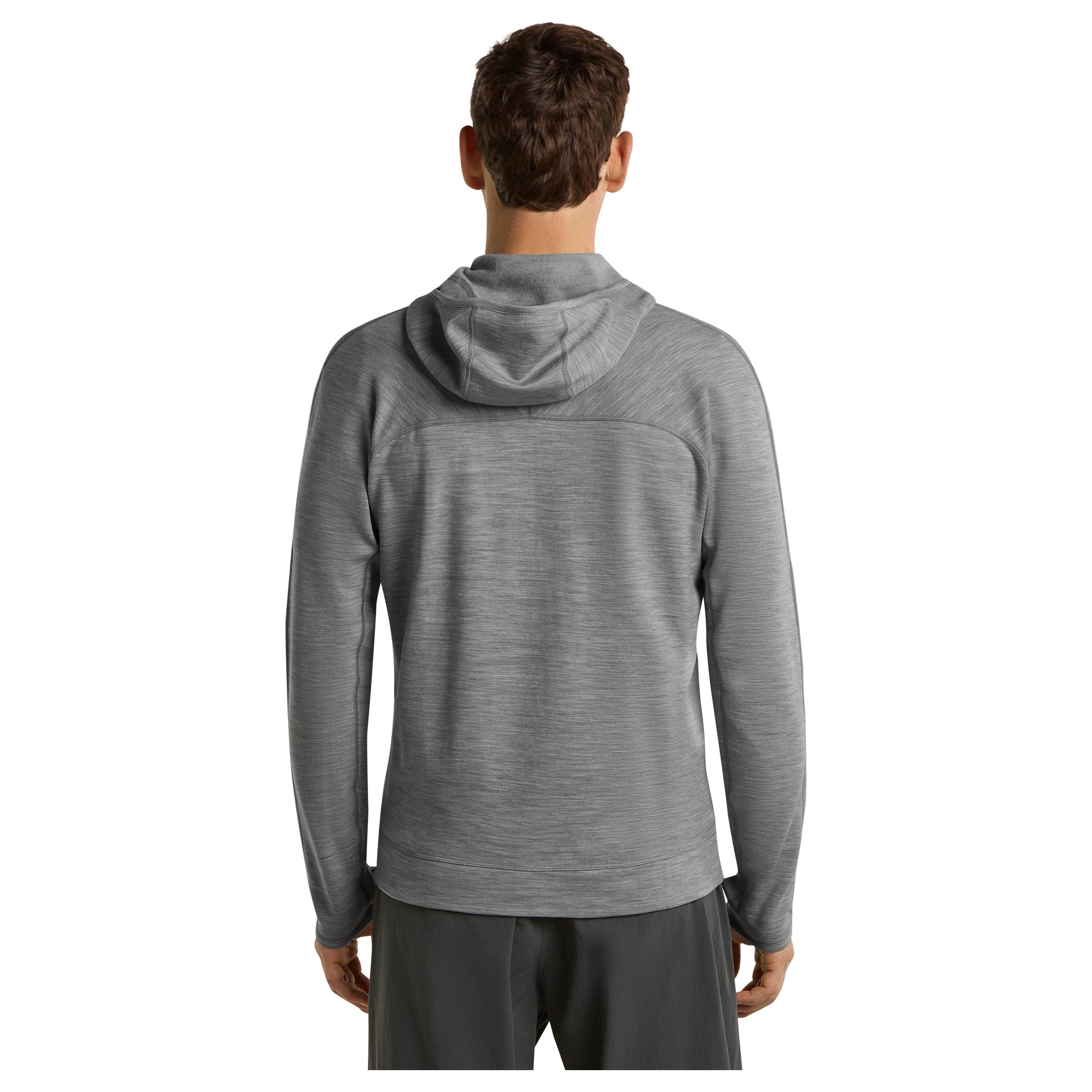 Merino 360 Realfleece Elemental LS Zip Hoodie Herre