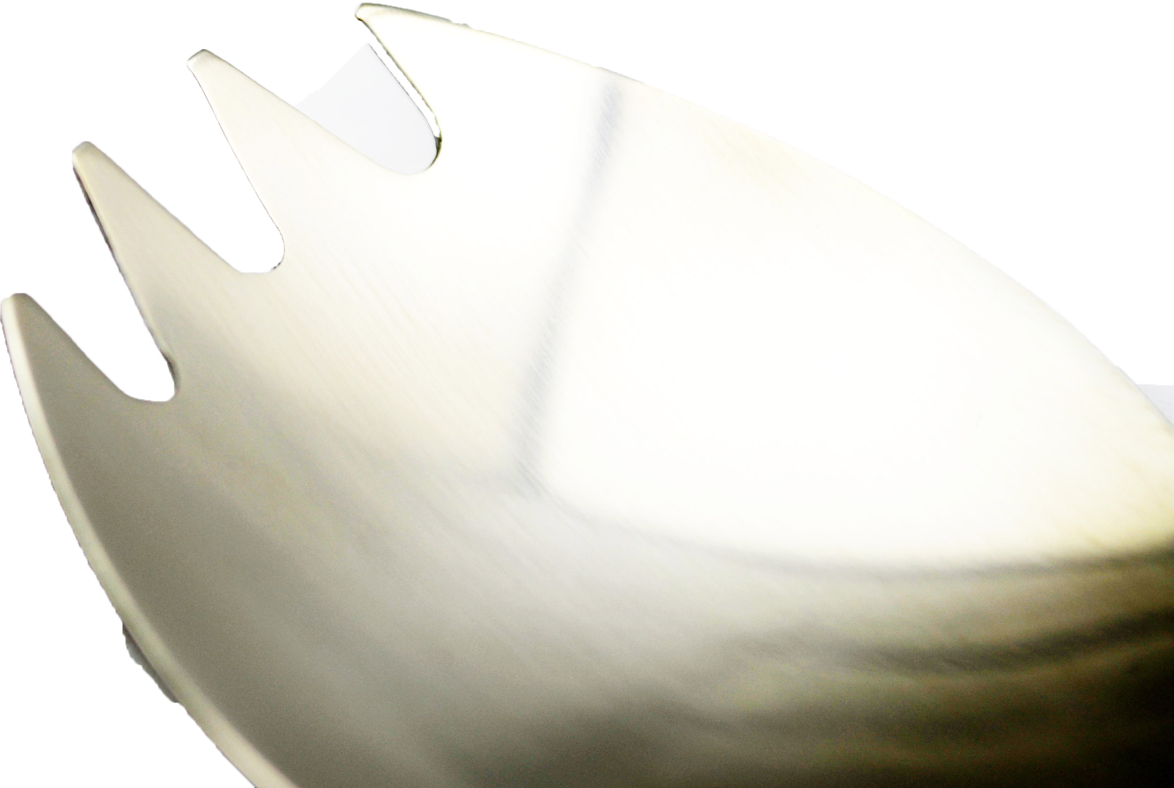 Titanium Spork