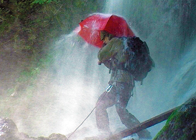 Birdiepal Outdoor Paraply