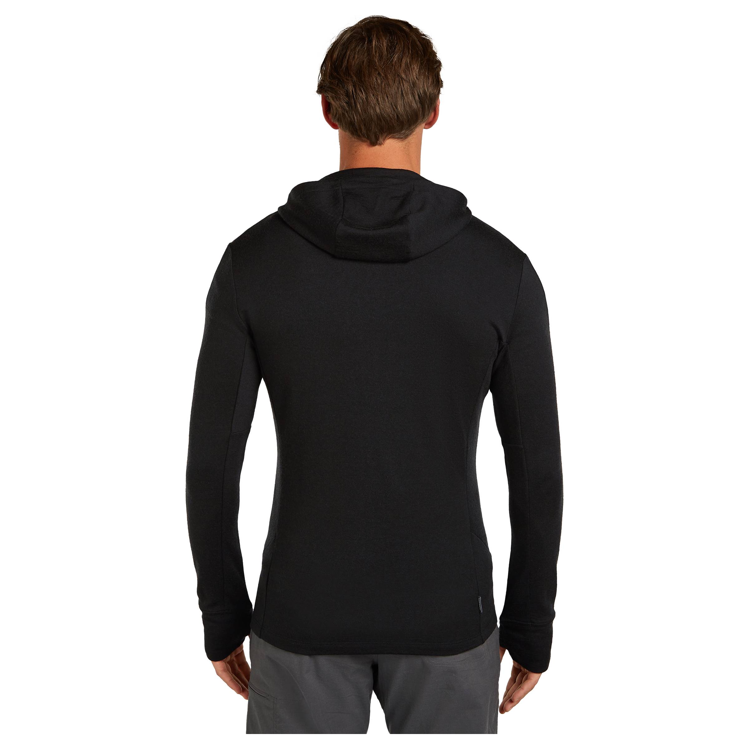 Merino 260 Quantum IV LS Zip Hoodie Herre