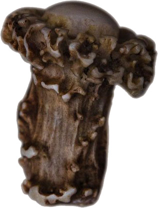 Exclusive Antler Handles for Baking Oven Orland Living brands