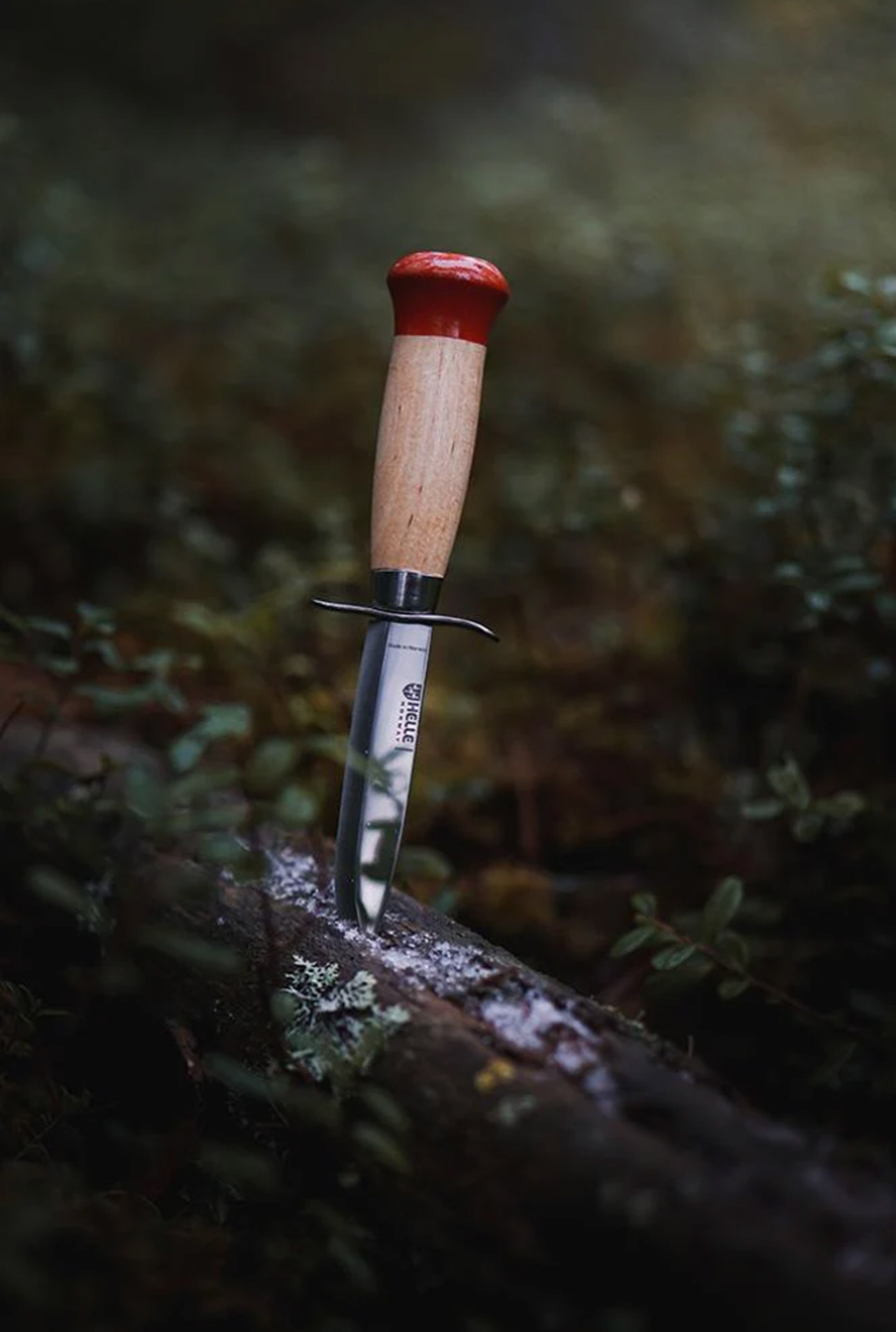 Speider Gutt Starter Knife