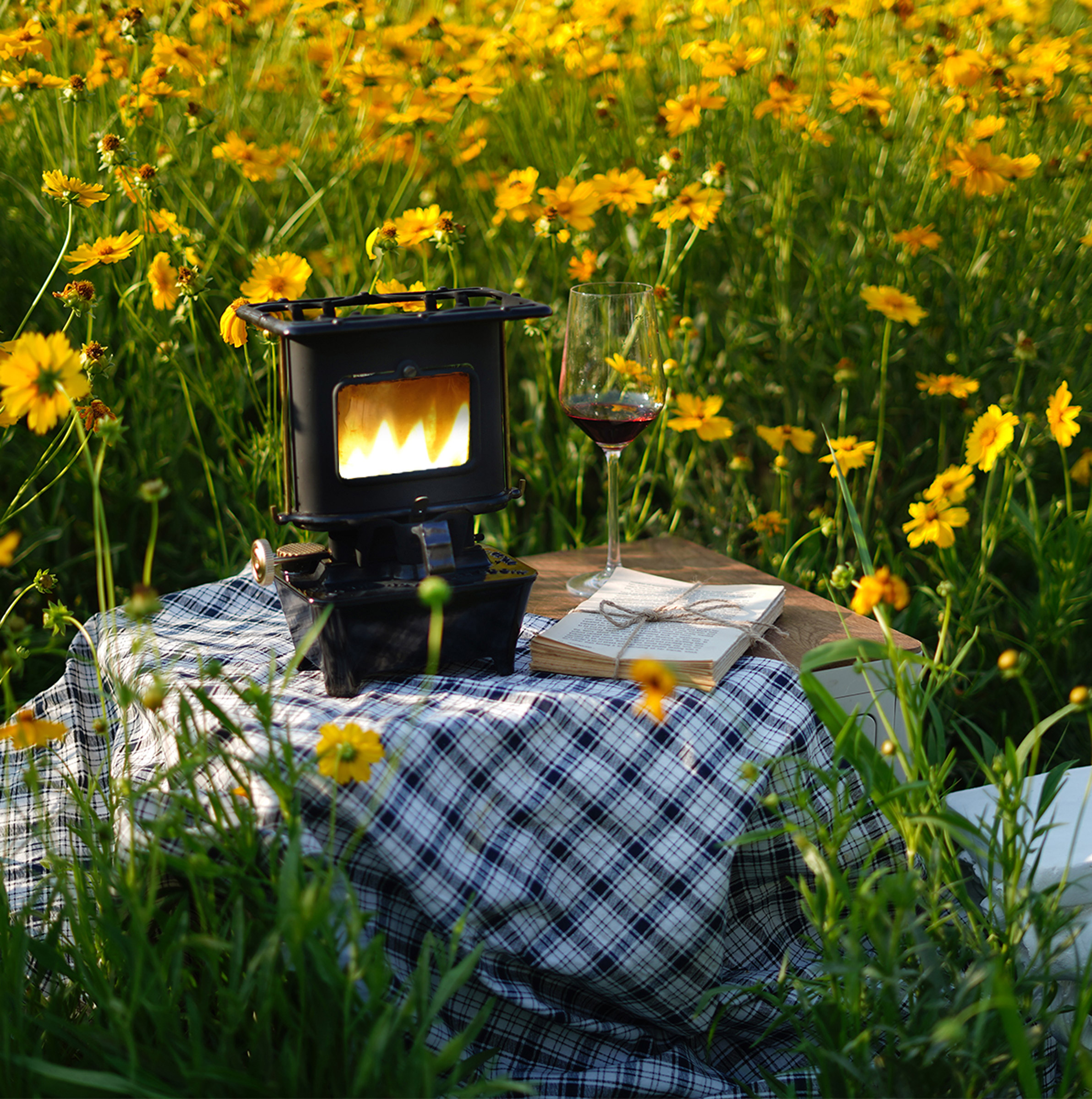 Iron Camping Cooker Stove