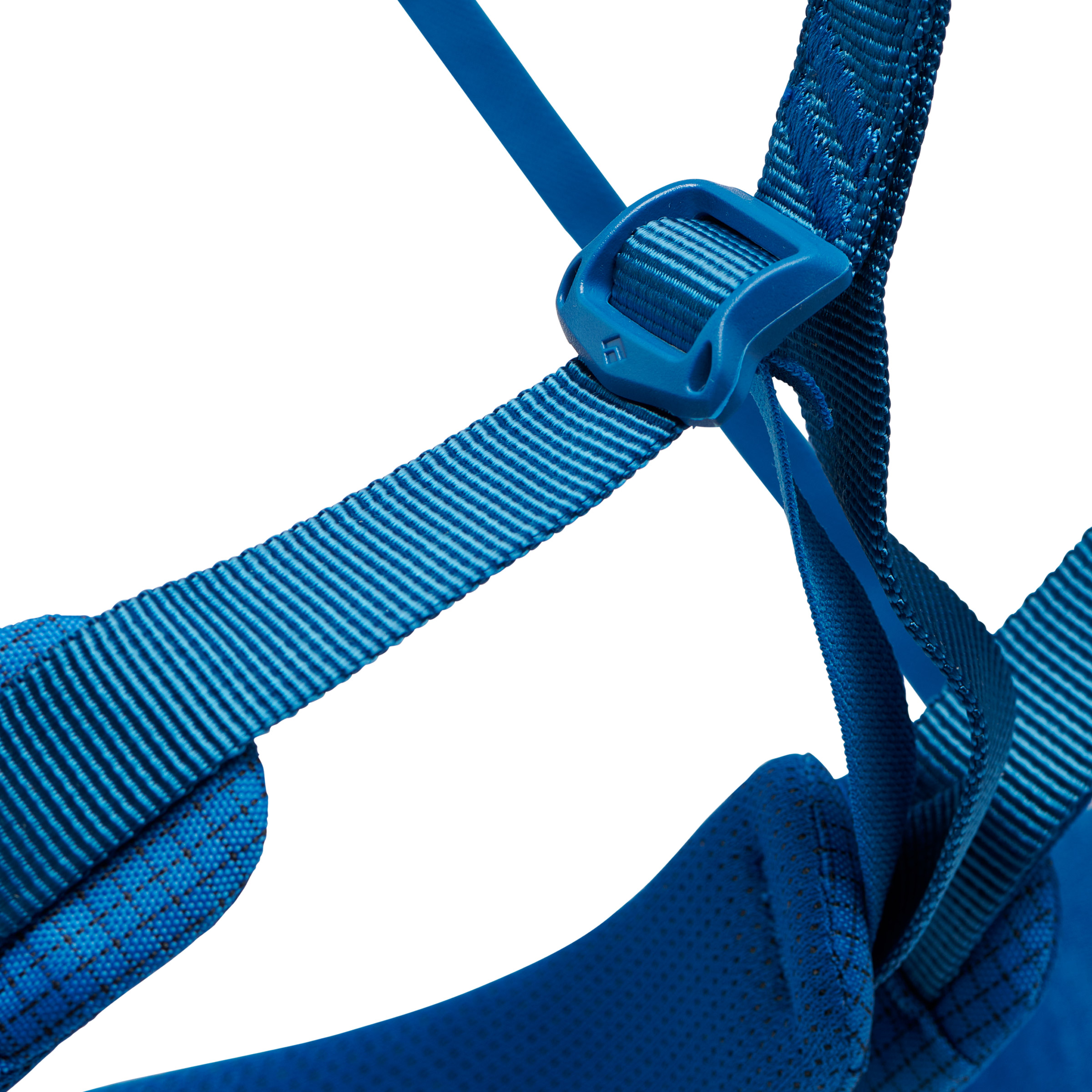 Momentum Harness