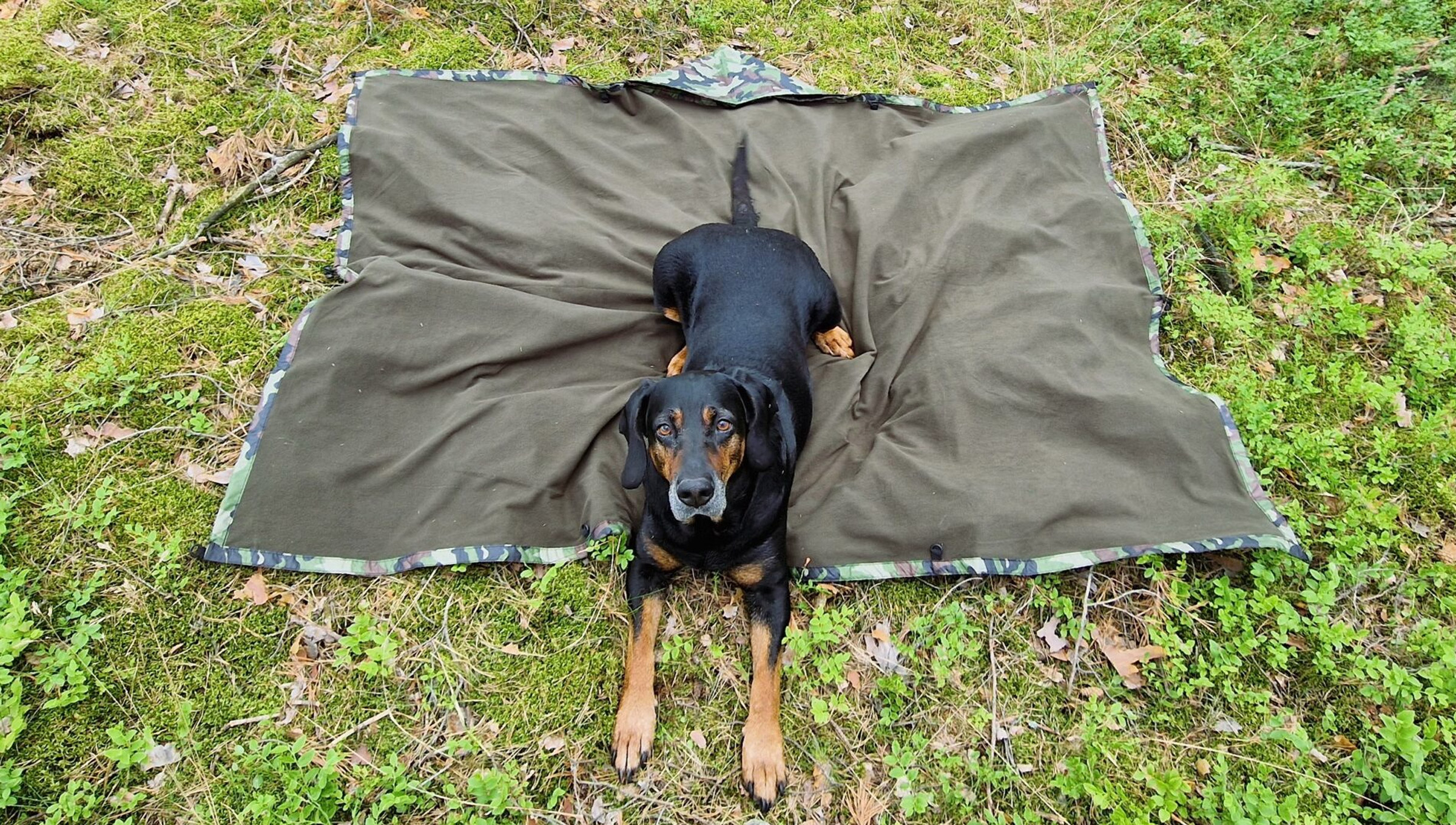 Thermo Blanket Camo Termotæppe