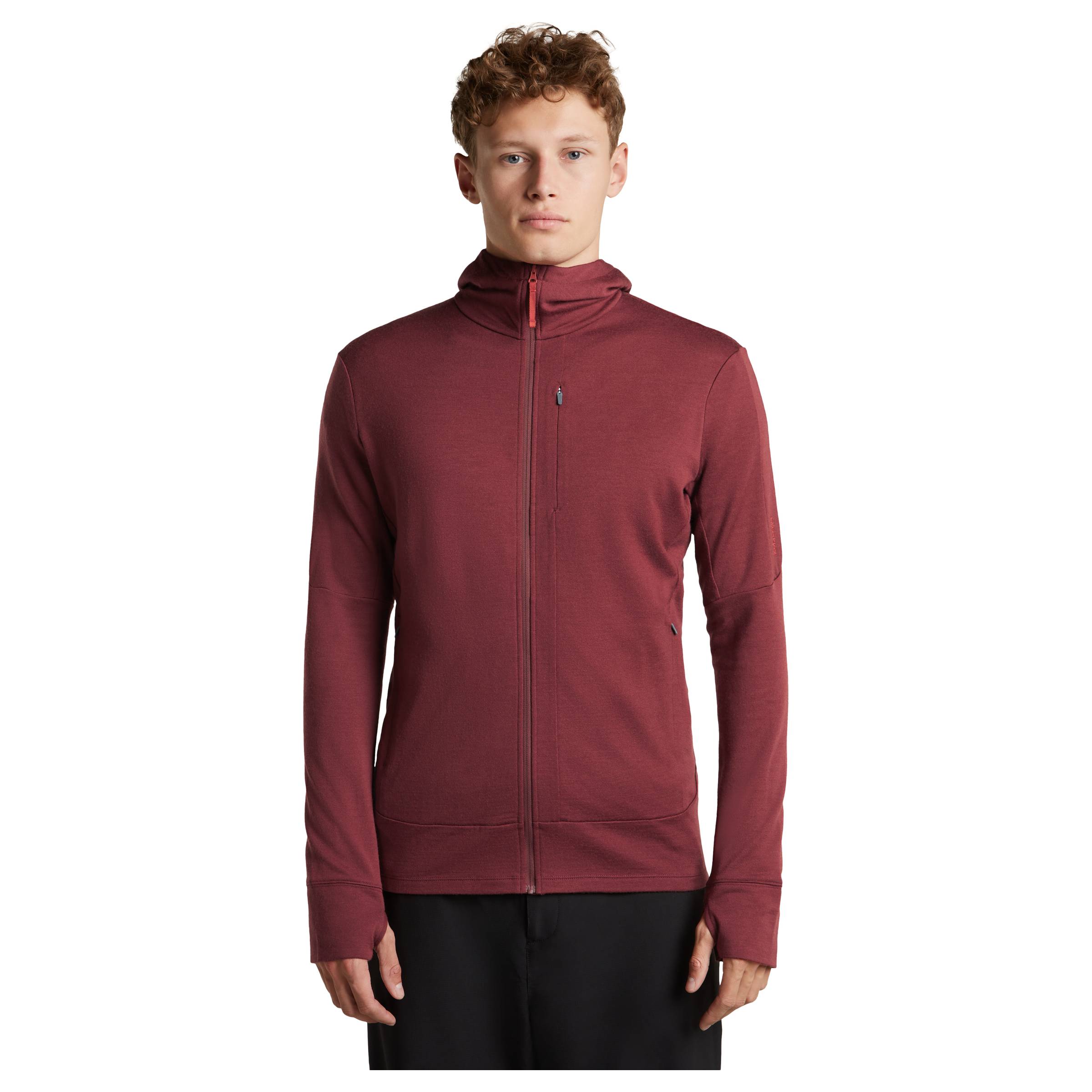 Merino 260 Quantum IV LS Zip Hoodie Herre Icebreaker herre