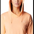 Sun Trek Hooded Pullover Women