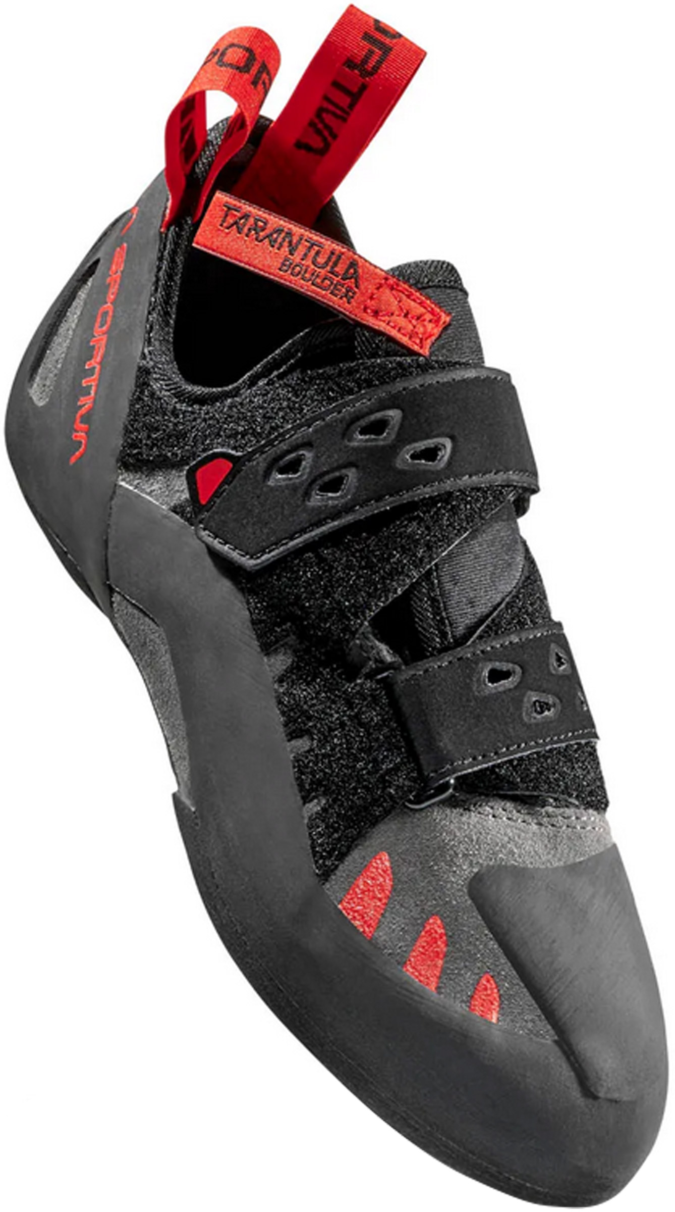 Tarantula Boulder Unisex