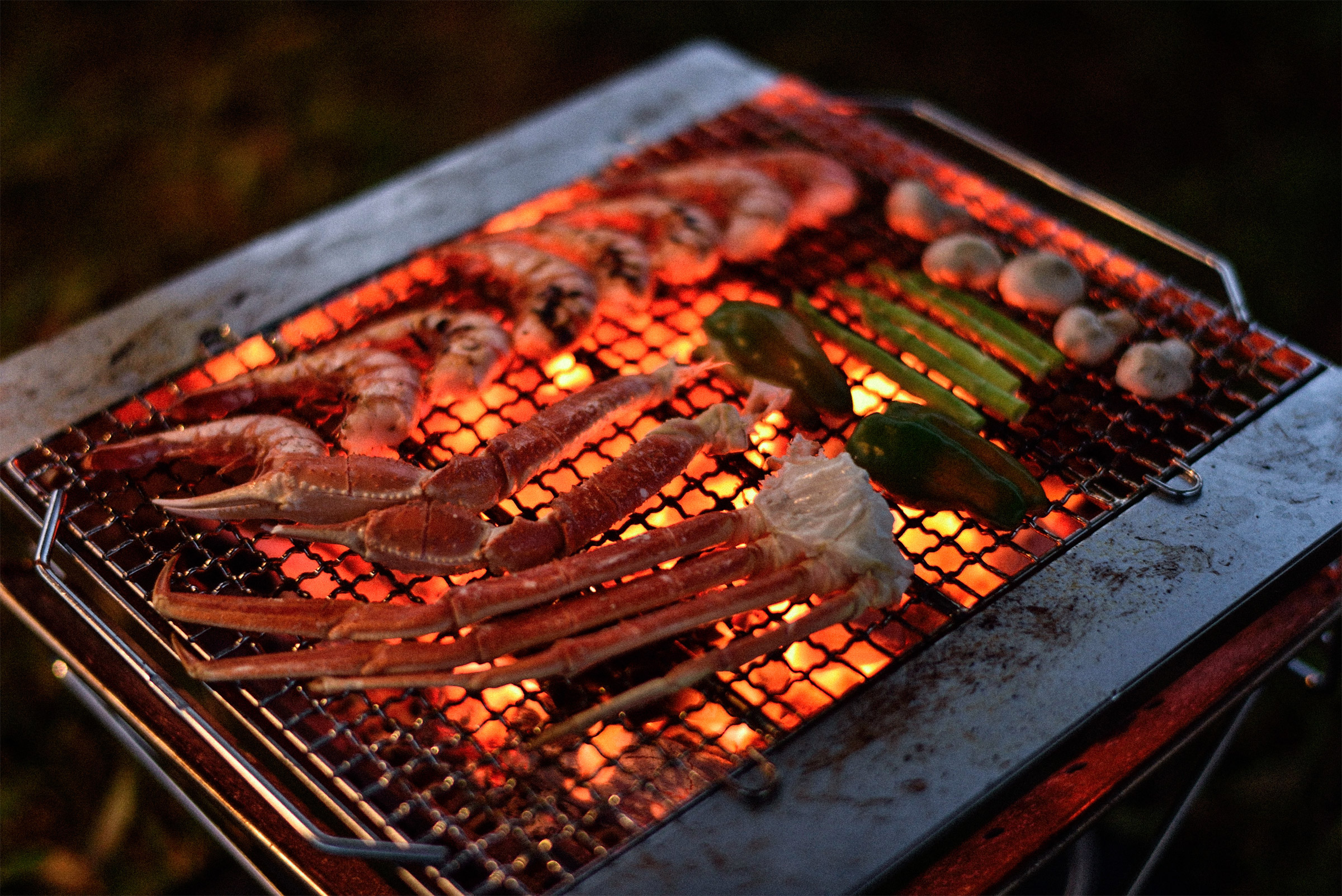 Fireplace Grill Bridge Large