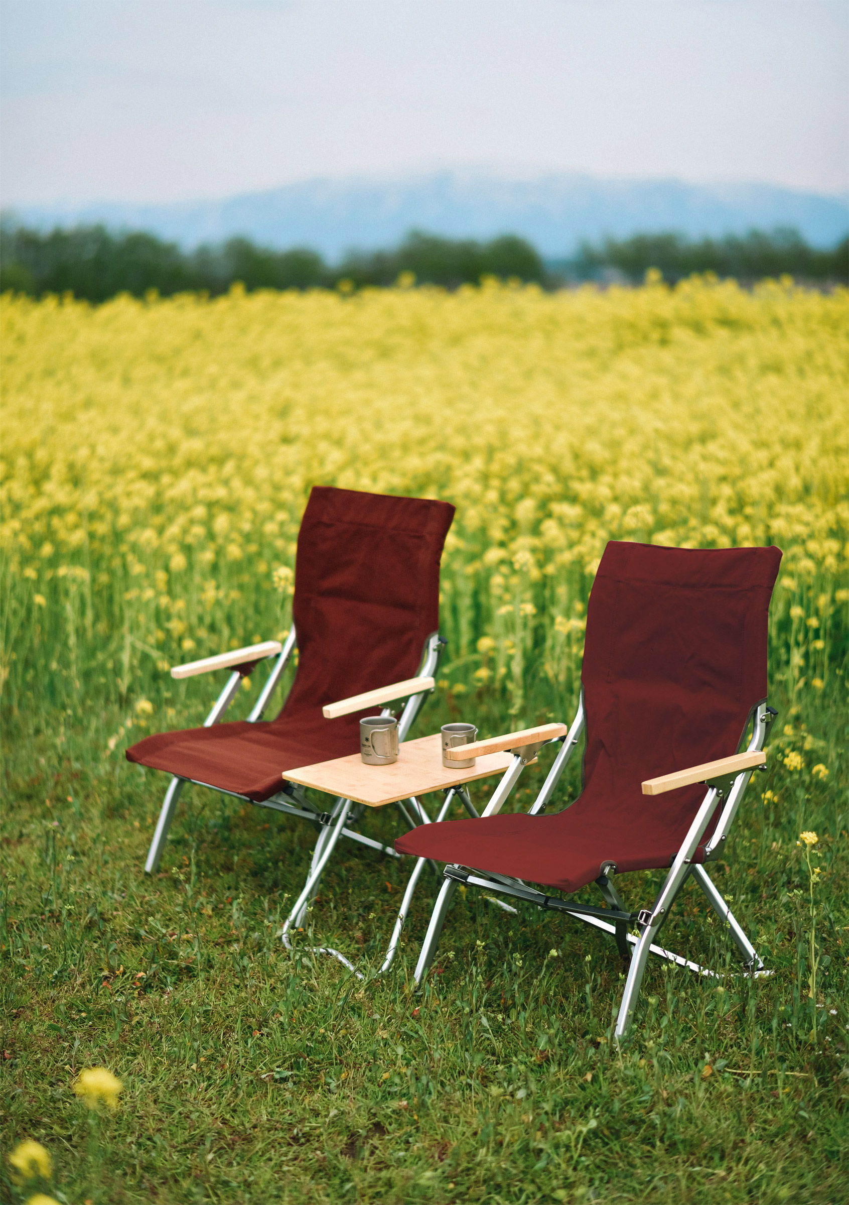 Low Beach Chair Foldestol