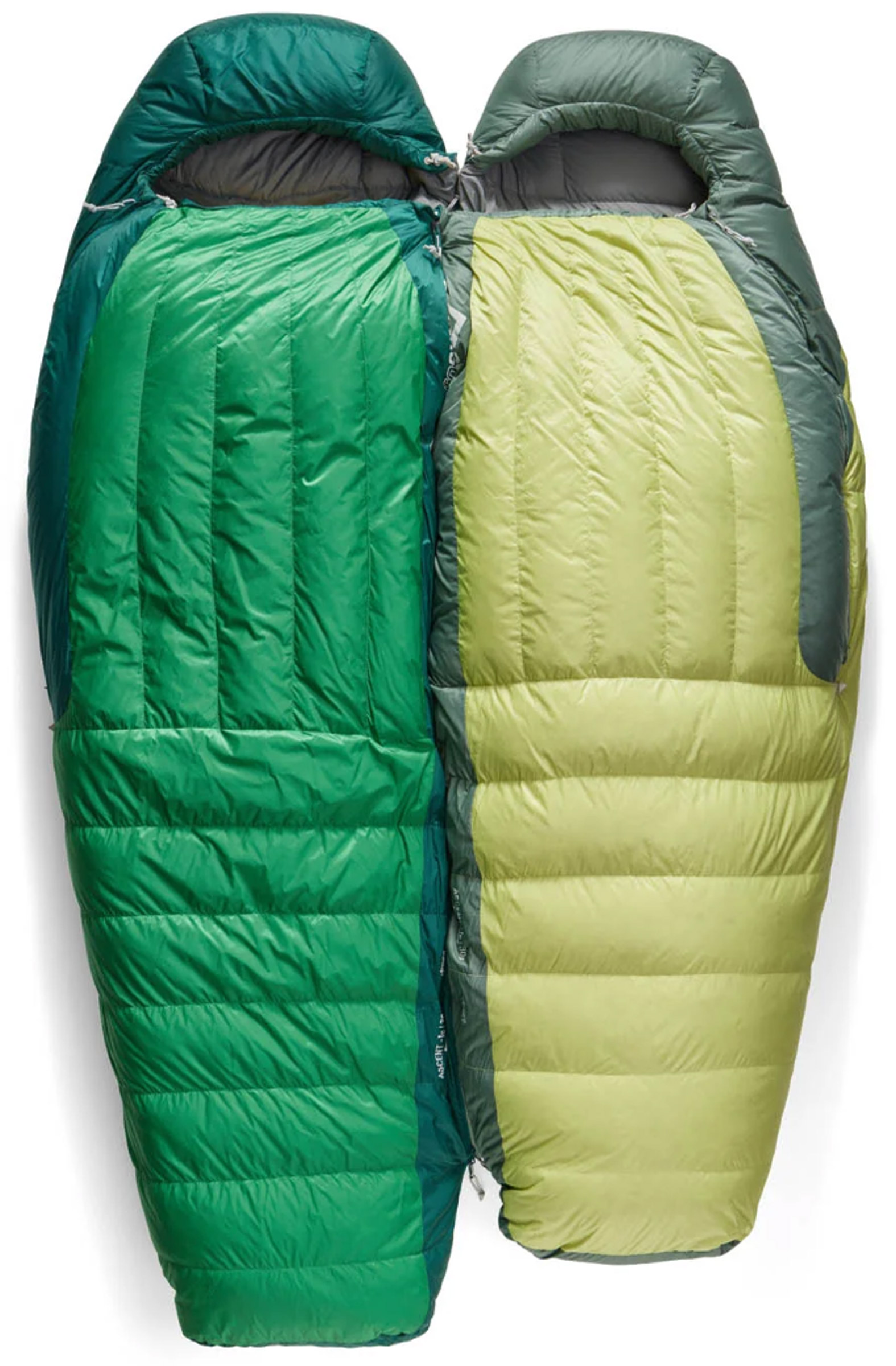 Ascent -9C/15F Regular Dame Dunsovepose