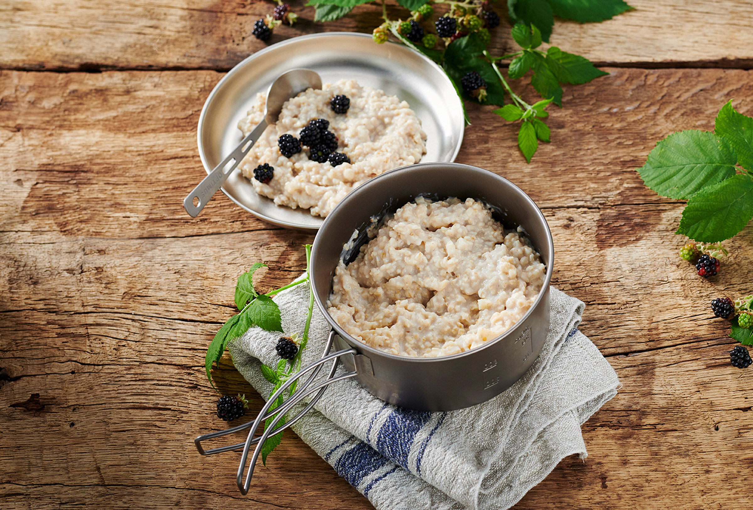 Breakfast Porridge with Apple Pieces PS1000+ Trek'n Eat kogegrej