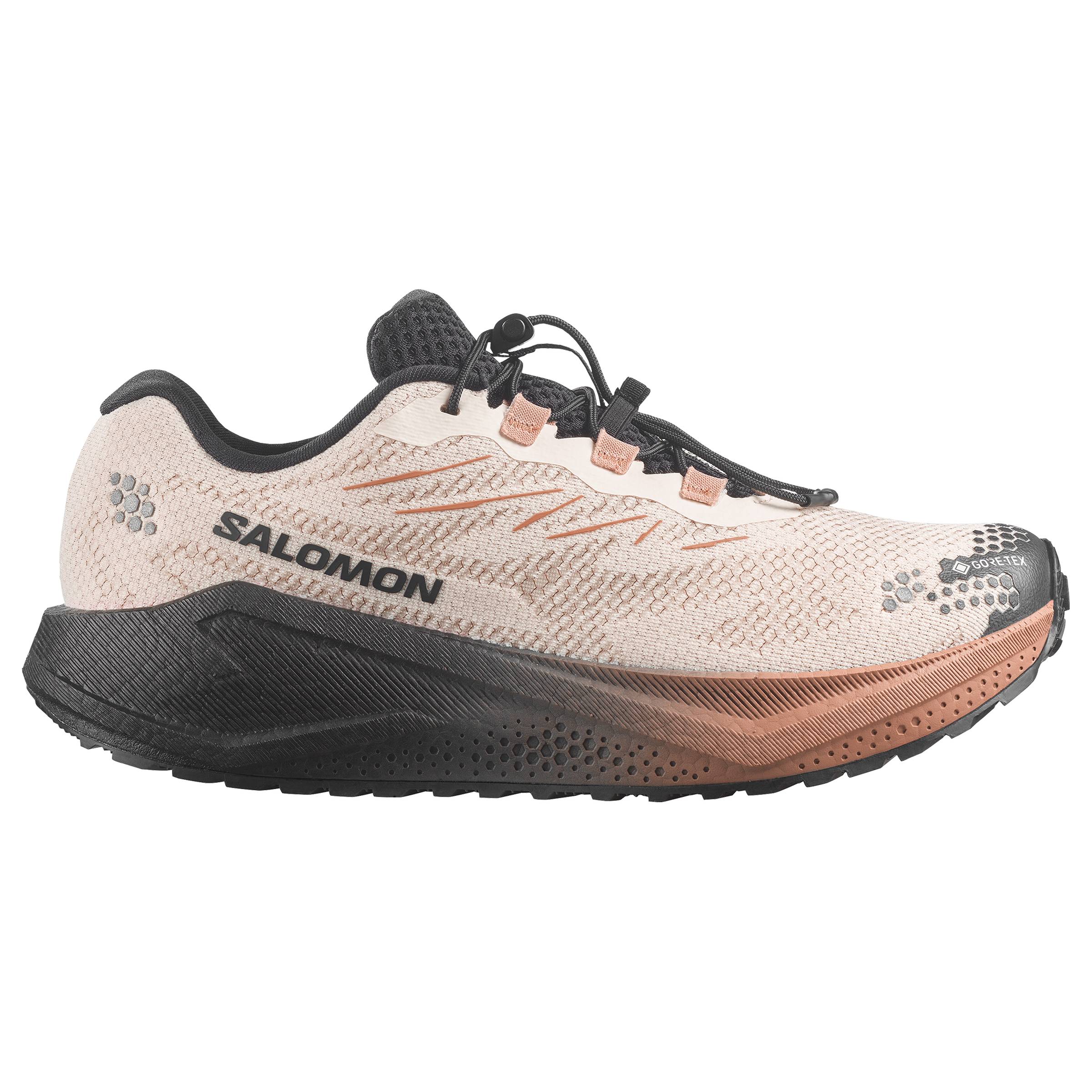 Aero Blaze 4 GRVL GTX Herre Salomon fodtoj