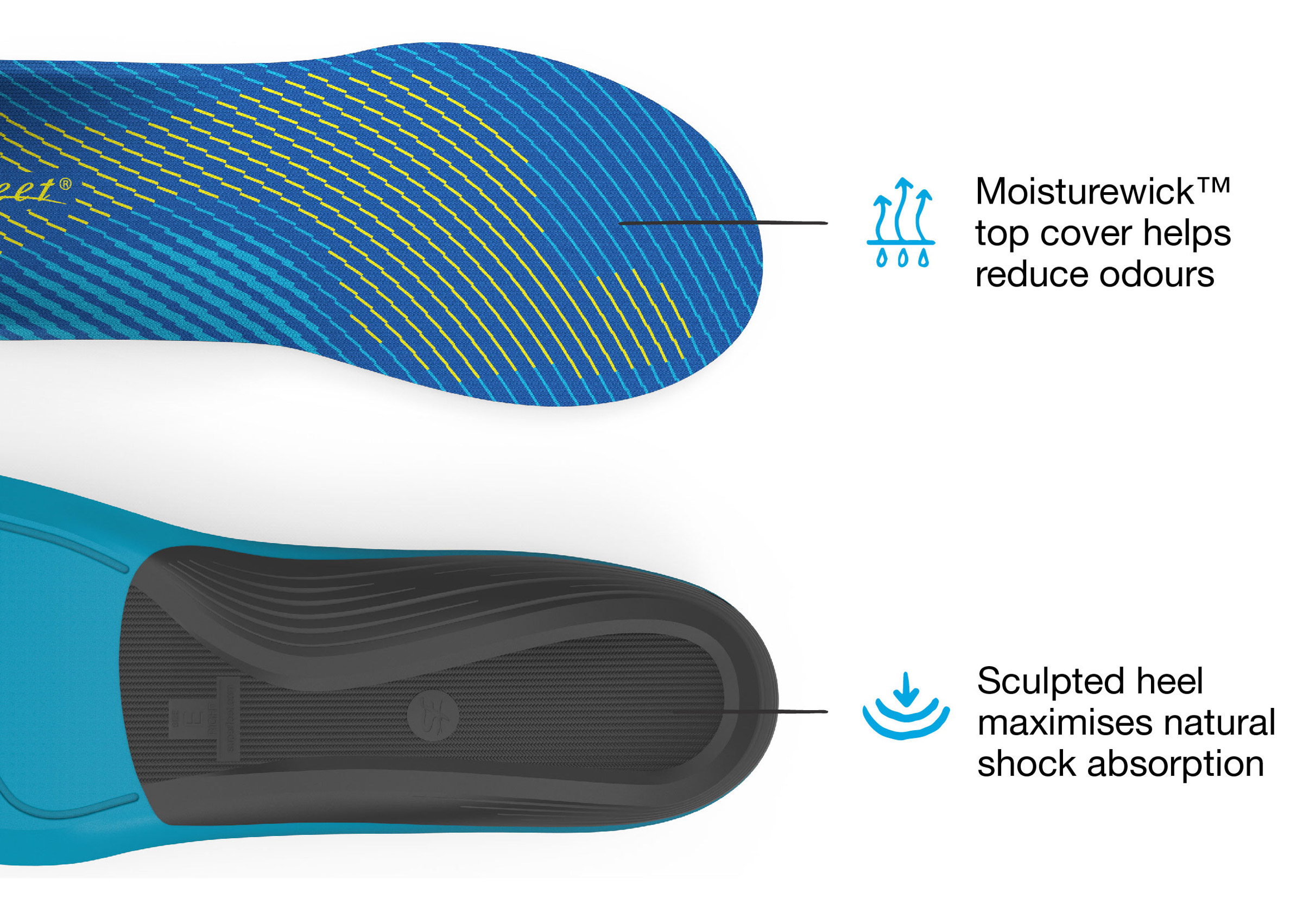 Active Support Medium Arch