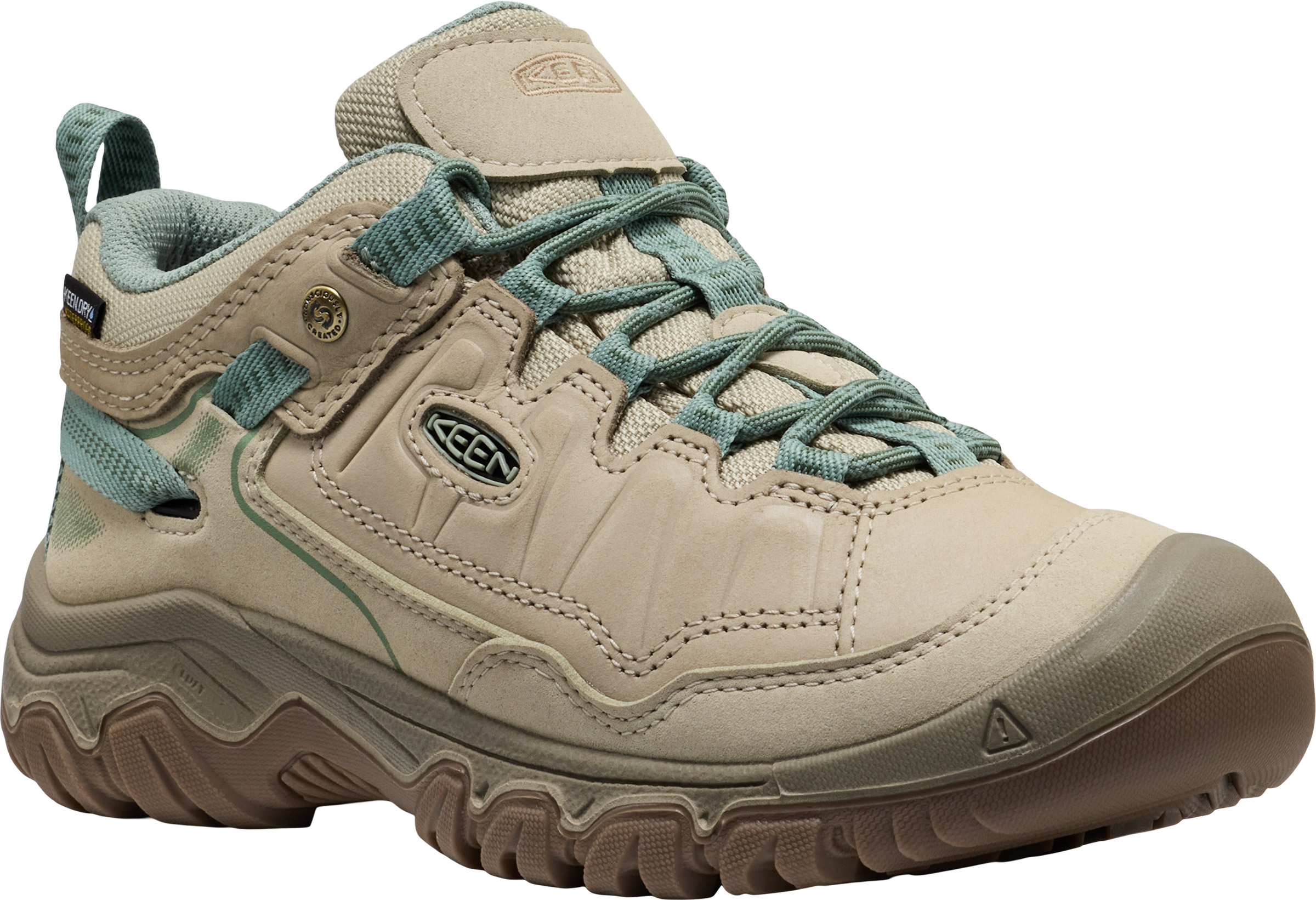 Targhee IV WP Dame