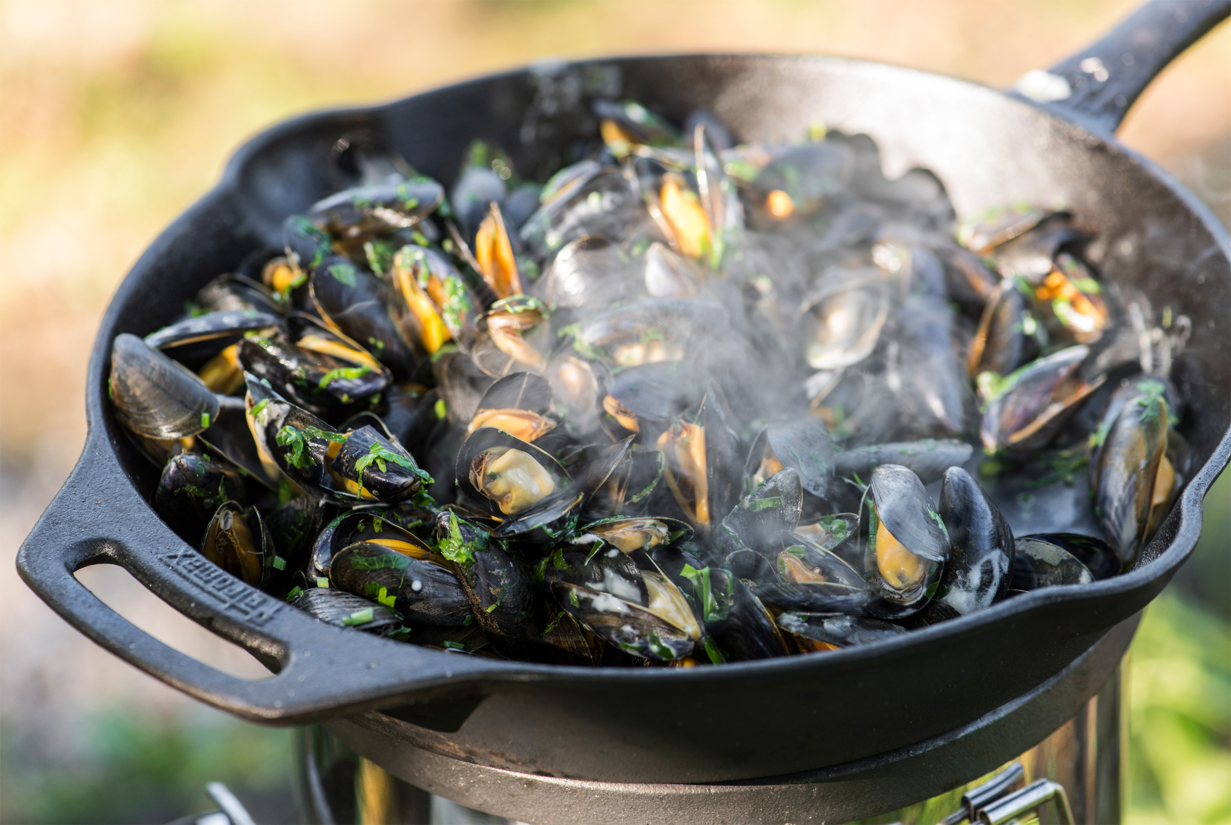 Fire Skillet w/One Handle FP30