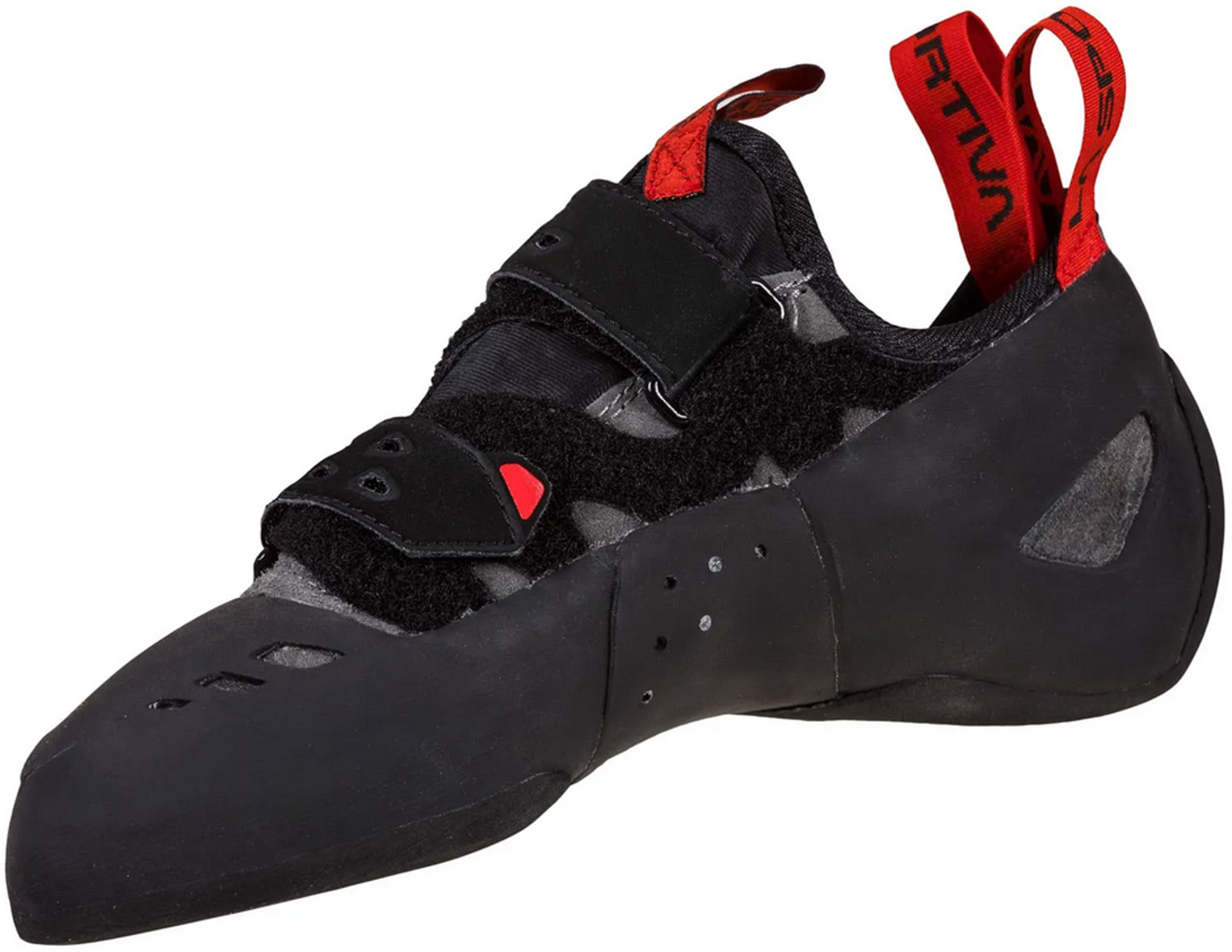 Tarantula Boulder Unisex