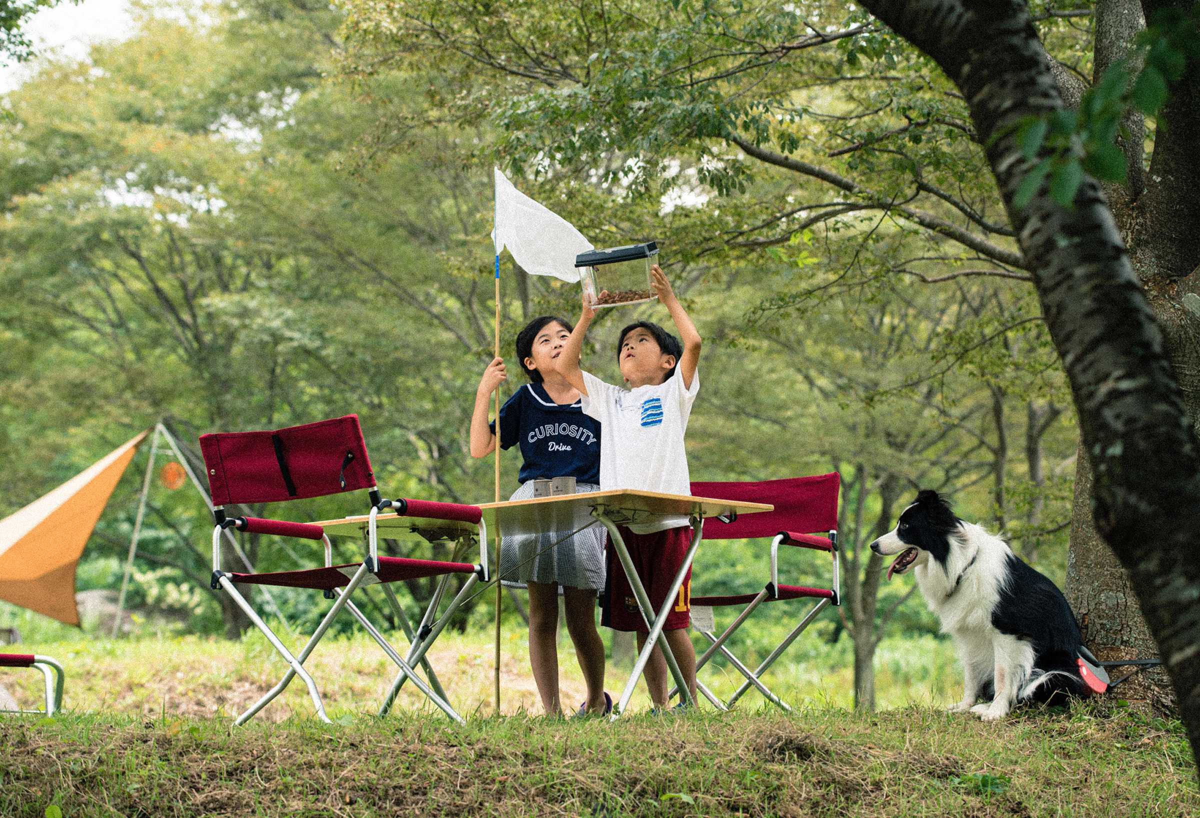Folding Chair Foldestol
