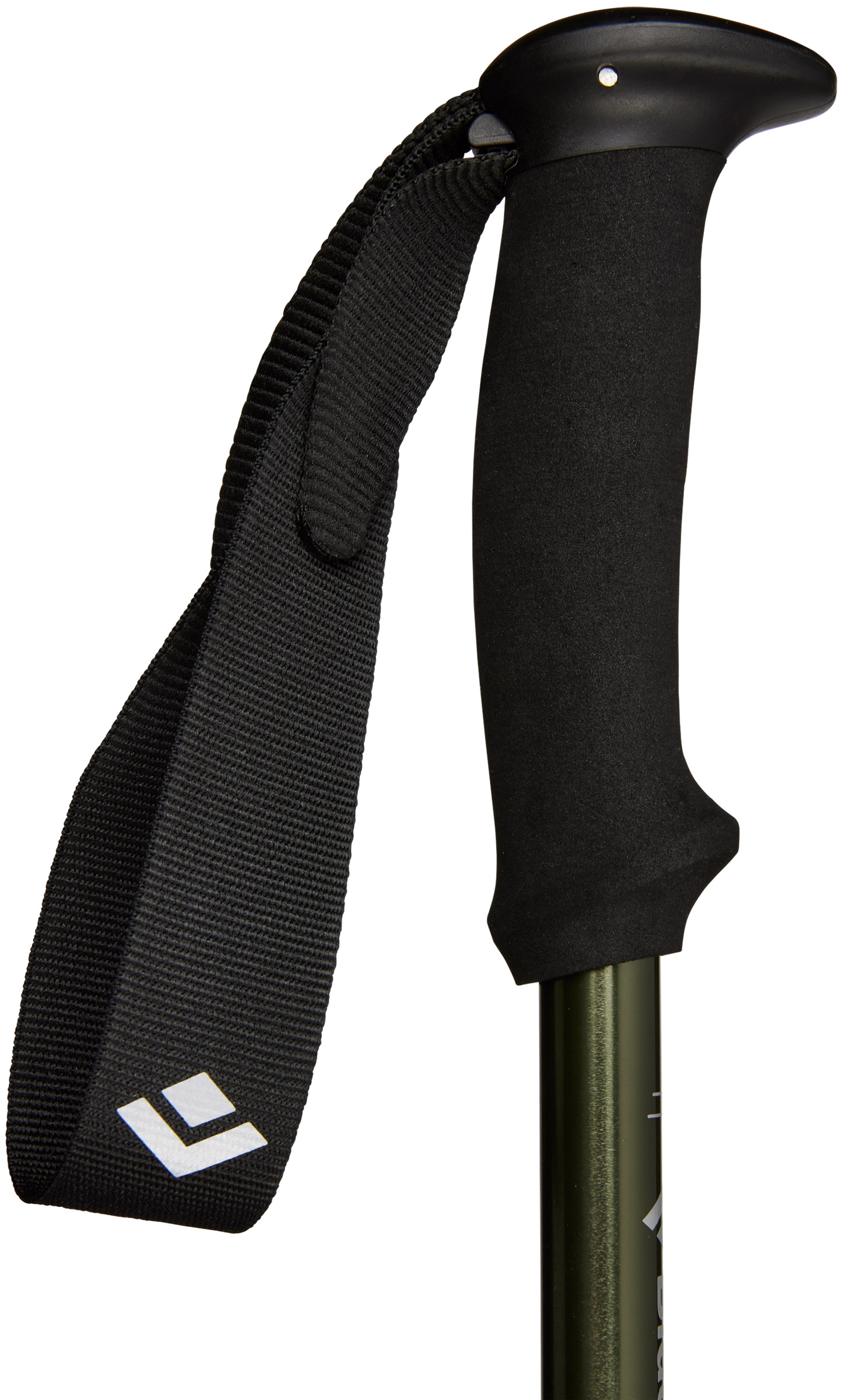 Explorer 3 Vandrestave