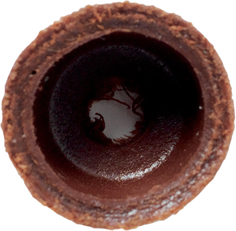 Leather Gasket (5 stk) for all Fuel Pumps Primus kogegrej