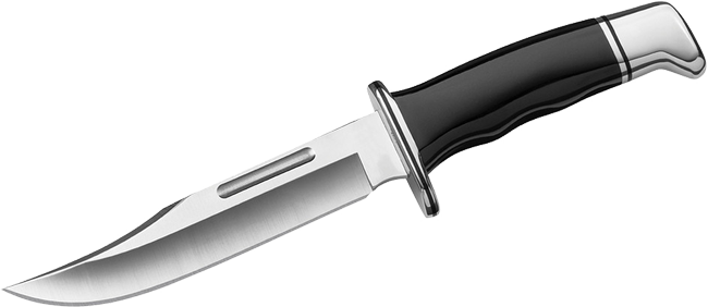 119 Special Knife Buck Knives product