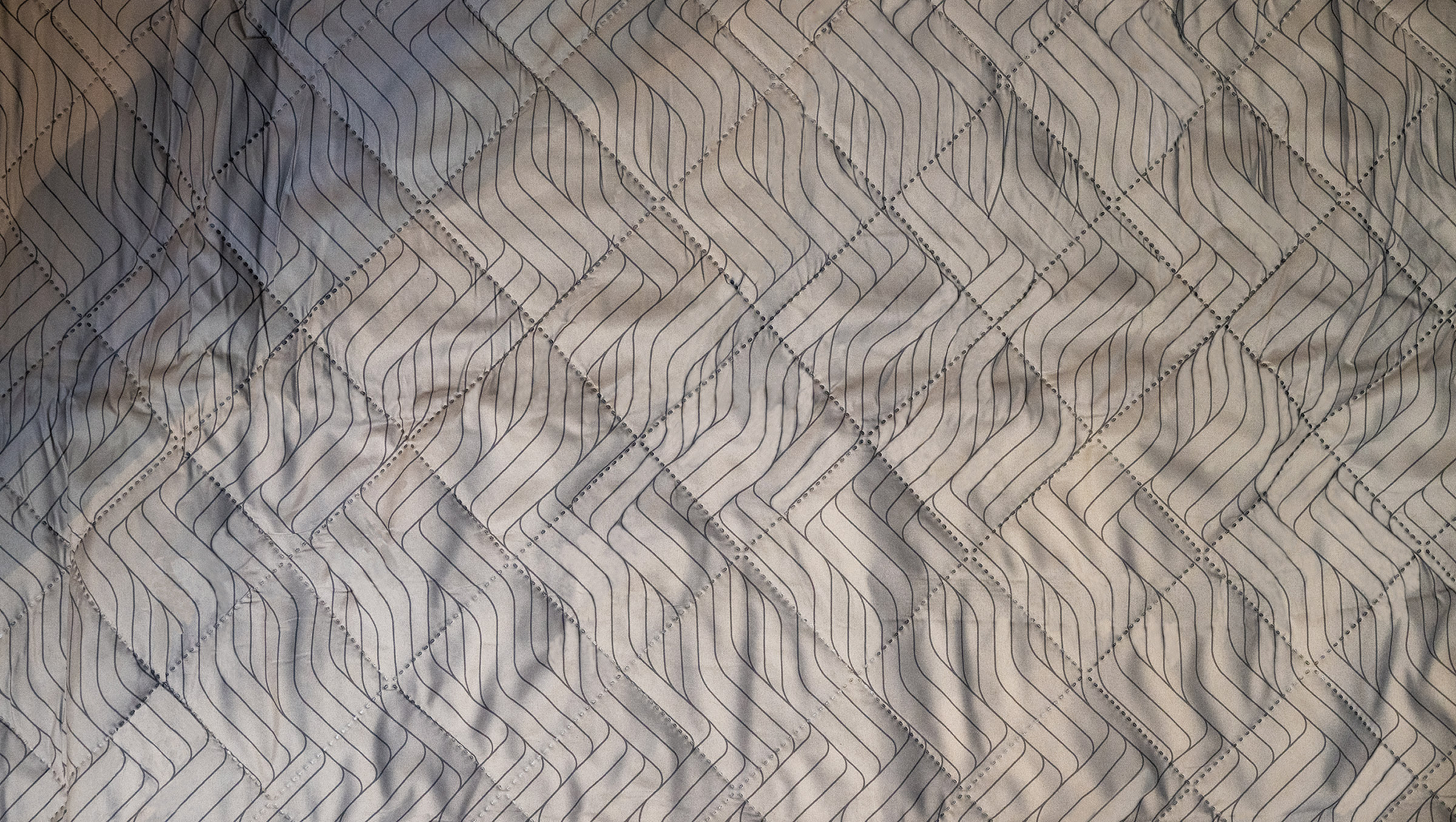 Cozy Carpet Rockwell 6