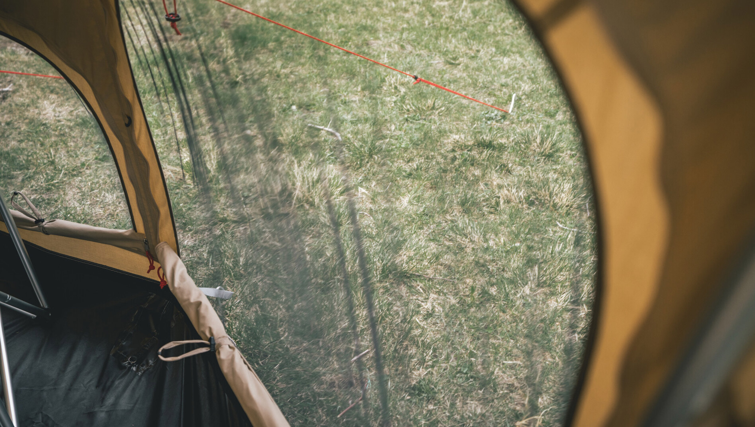 Settler Field 6, 6-Personers Bomuldstelt