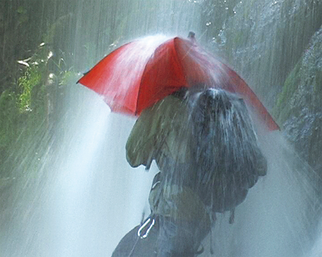 Birdiepal Outdoor Paraply