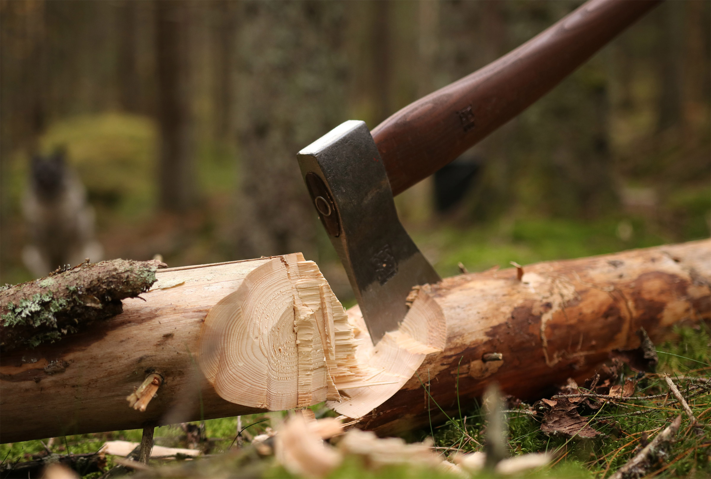 Forest Axe Skovøkse