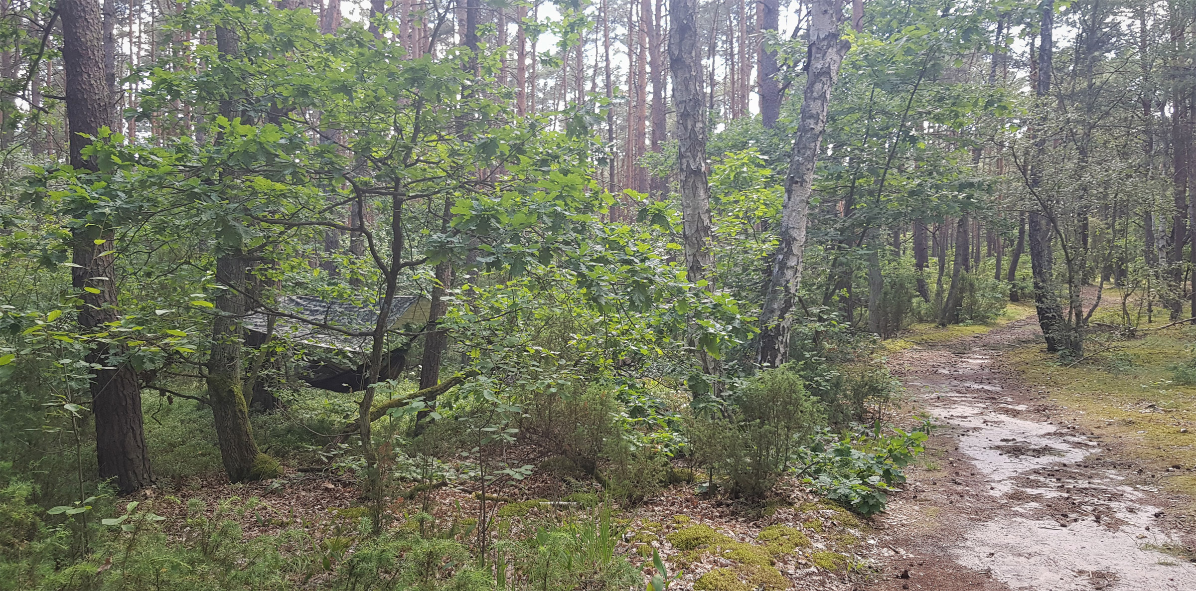 Thermo Tarp Camo 3x3