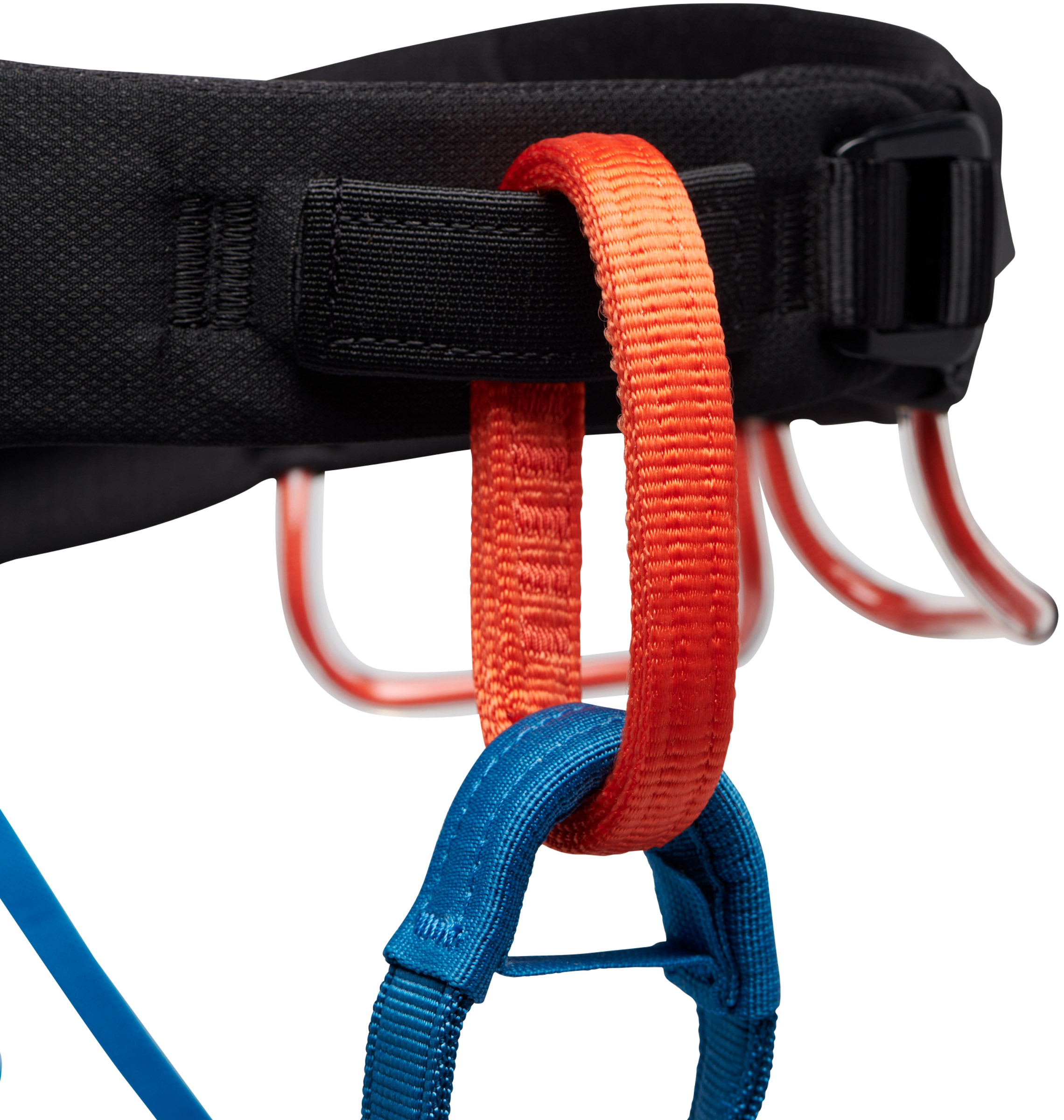 Momentum Harness