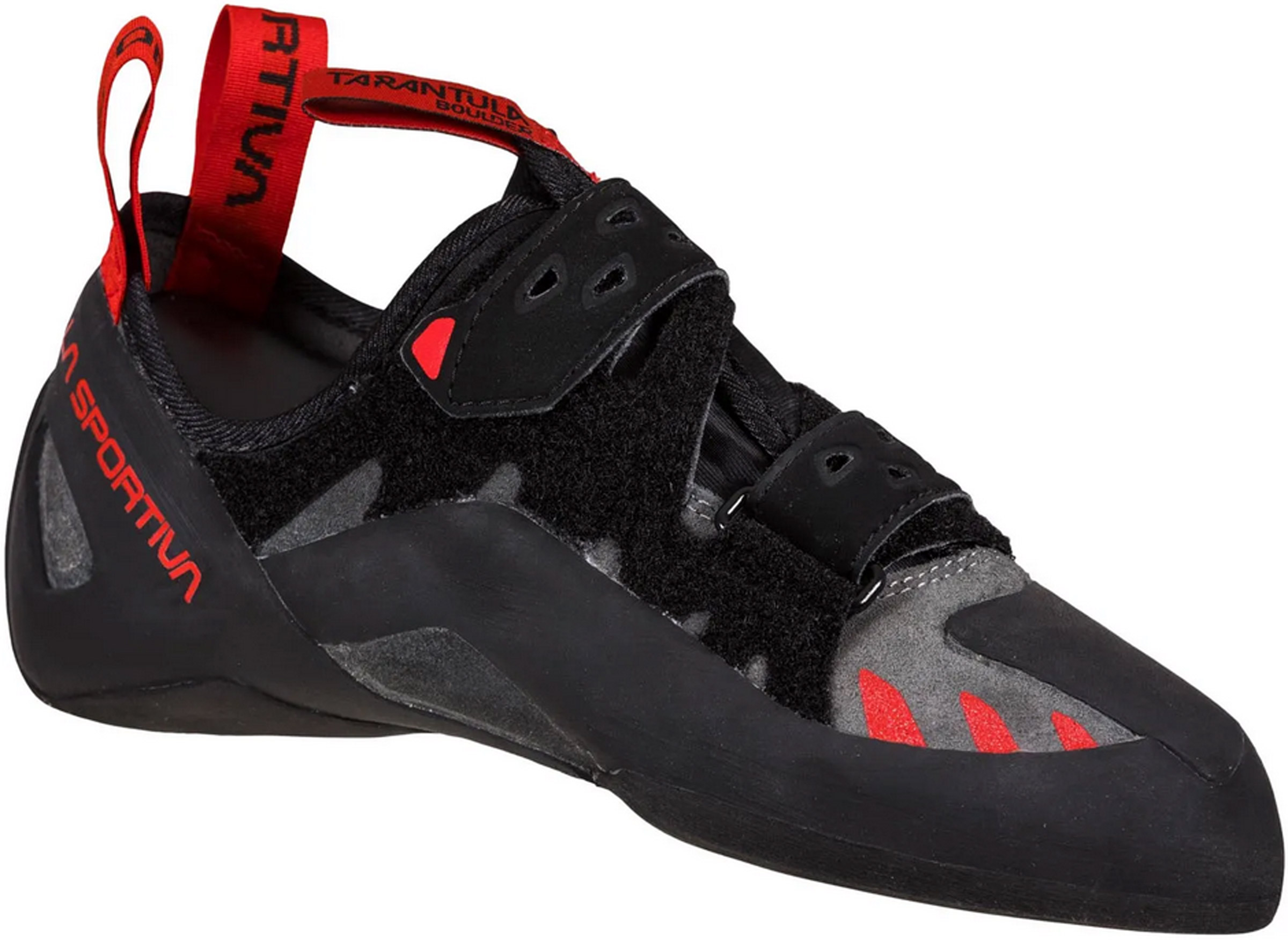 Tarantula Boulder Unisex