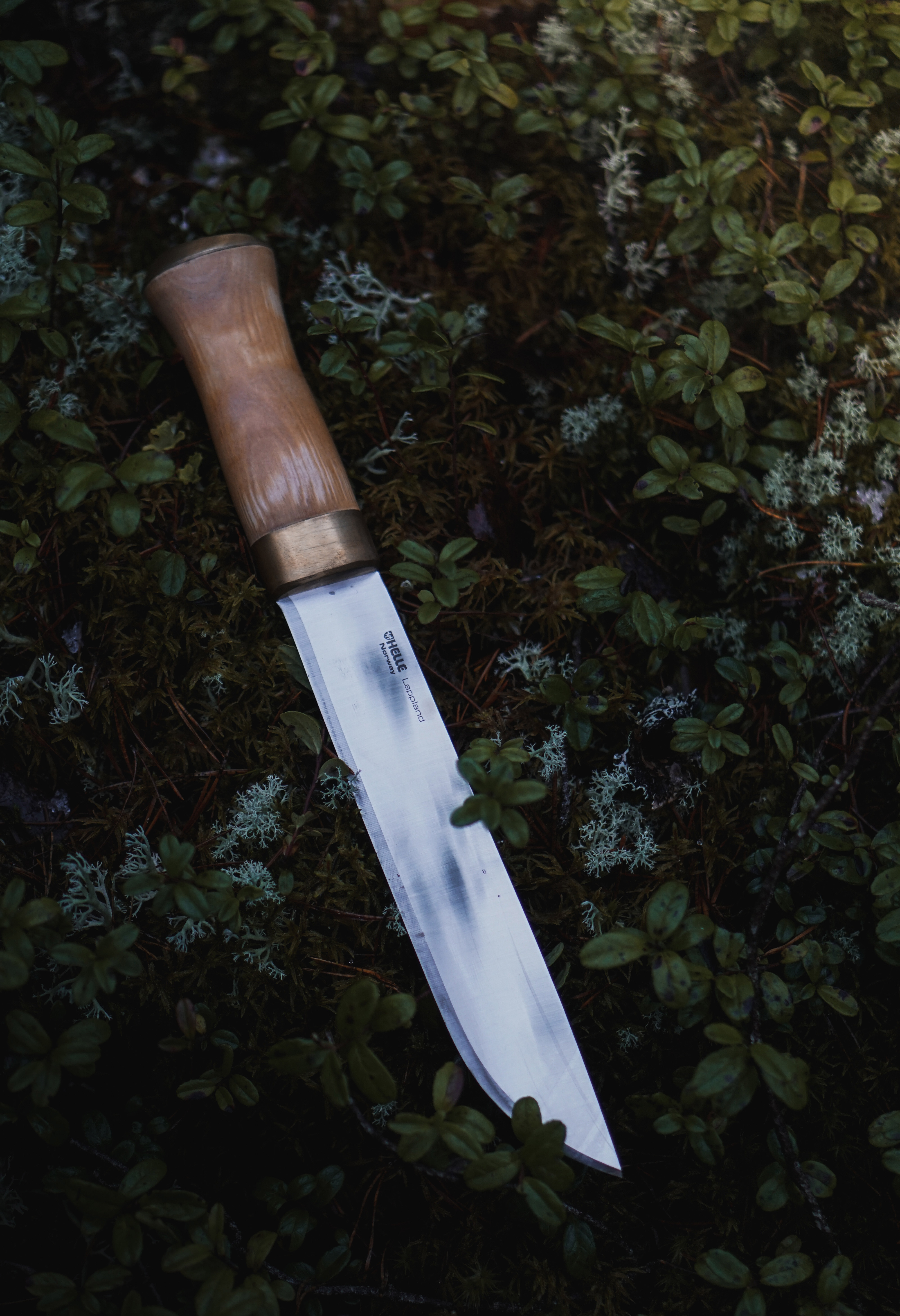 Lappland Classic Knife