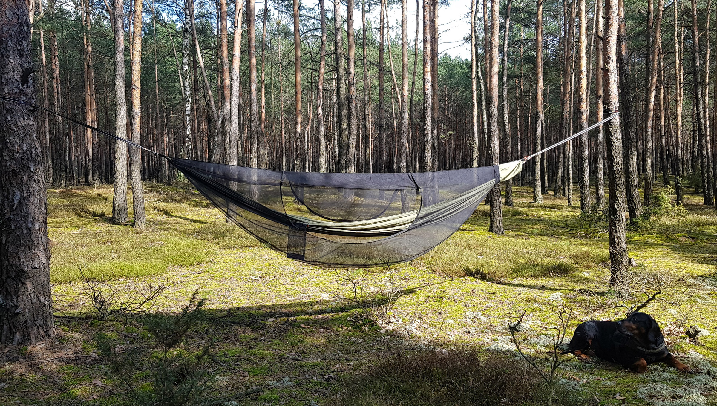 Jungle Long Hængekøjesæt