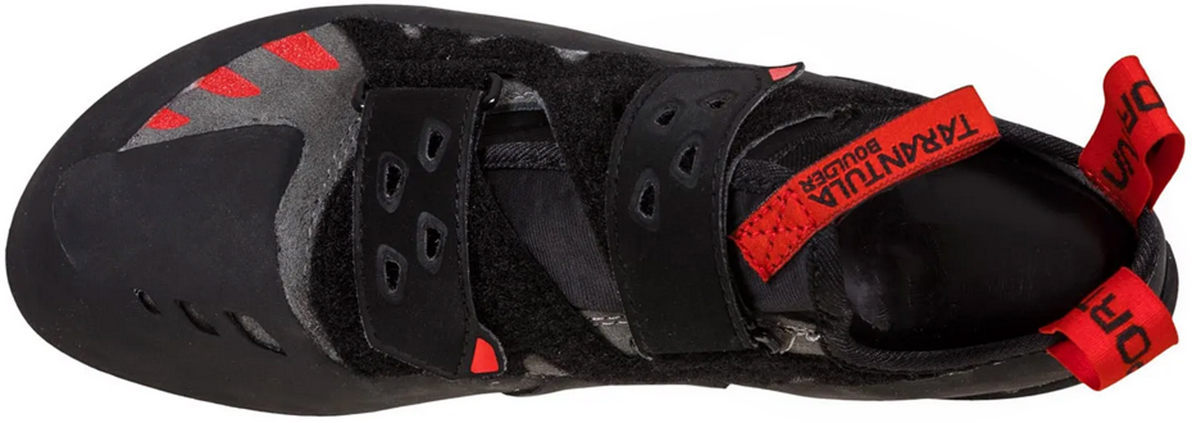 Tarantula Boulder Unisex