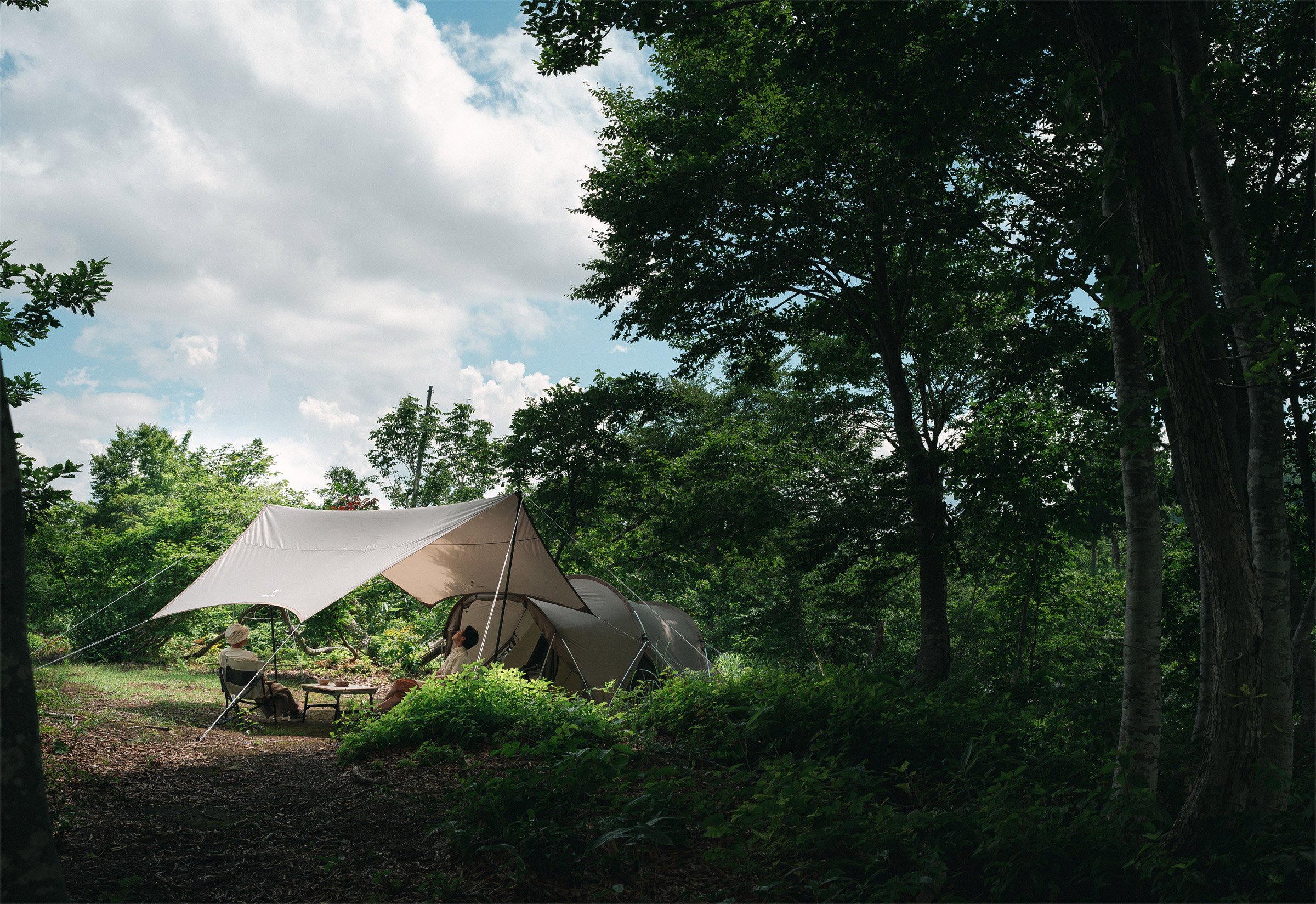 Land Nest Medium Tent & Tarp Set, 4-Personers Telt + Tarp