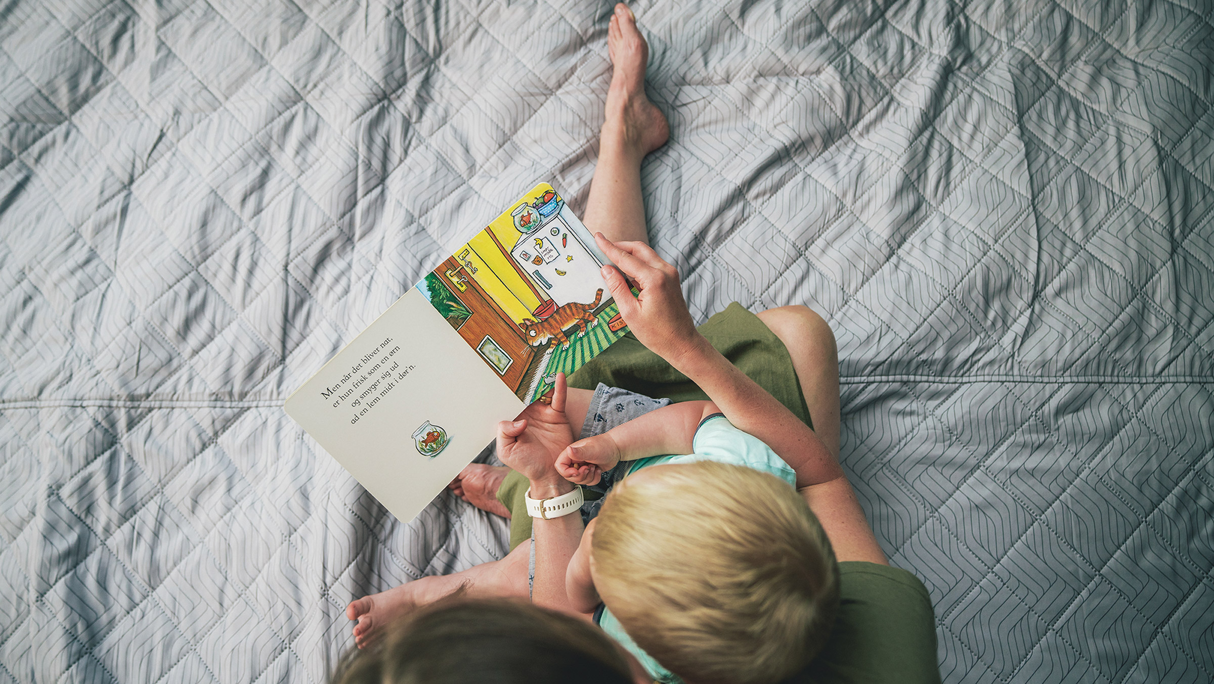 Cozy Carpet Montana 6 Air