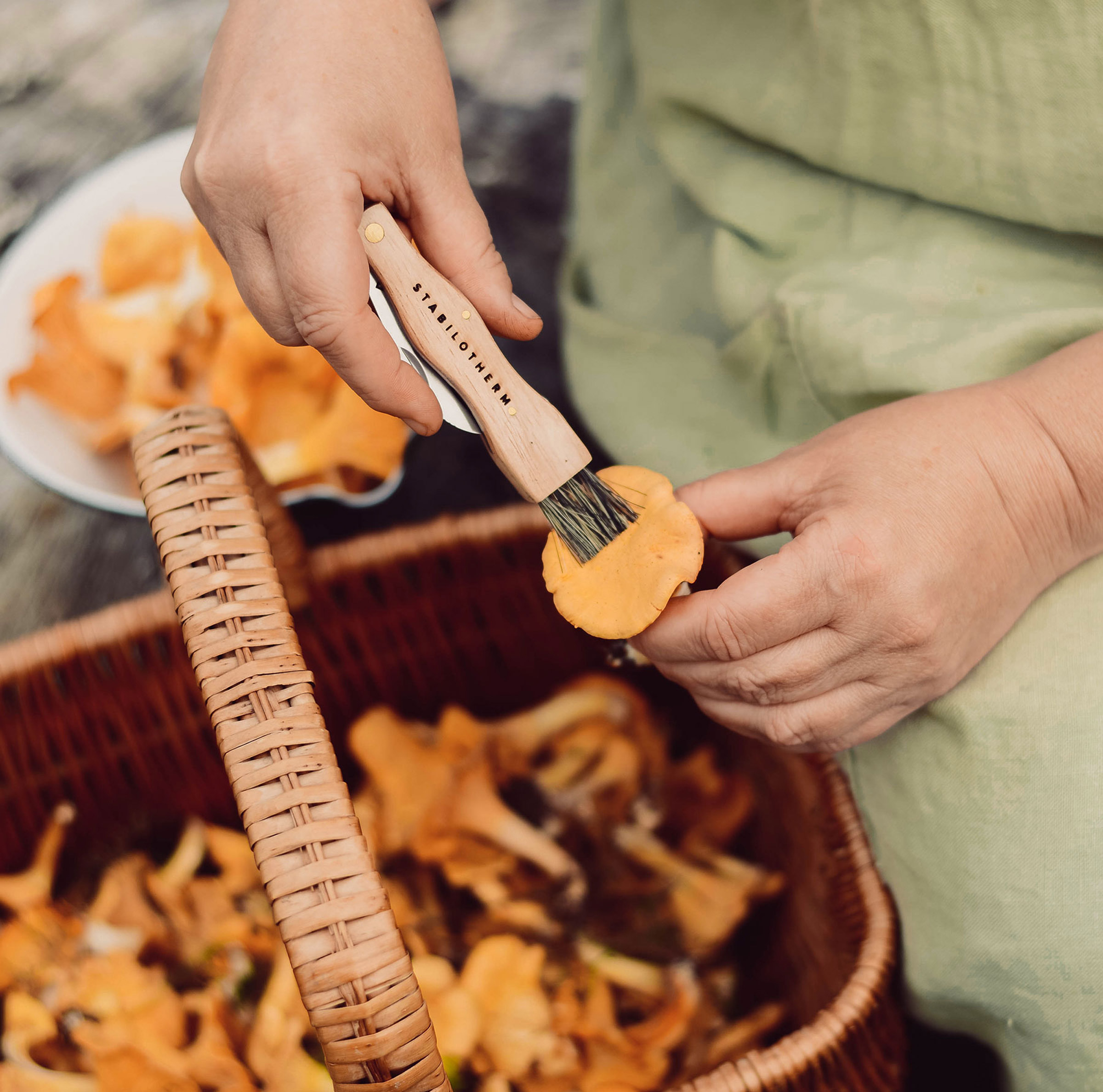Mushroom Tool Svampekniv
