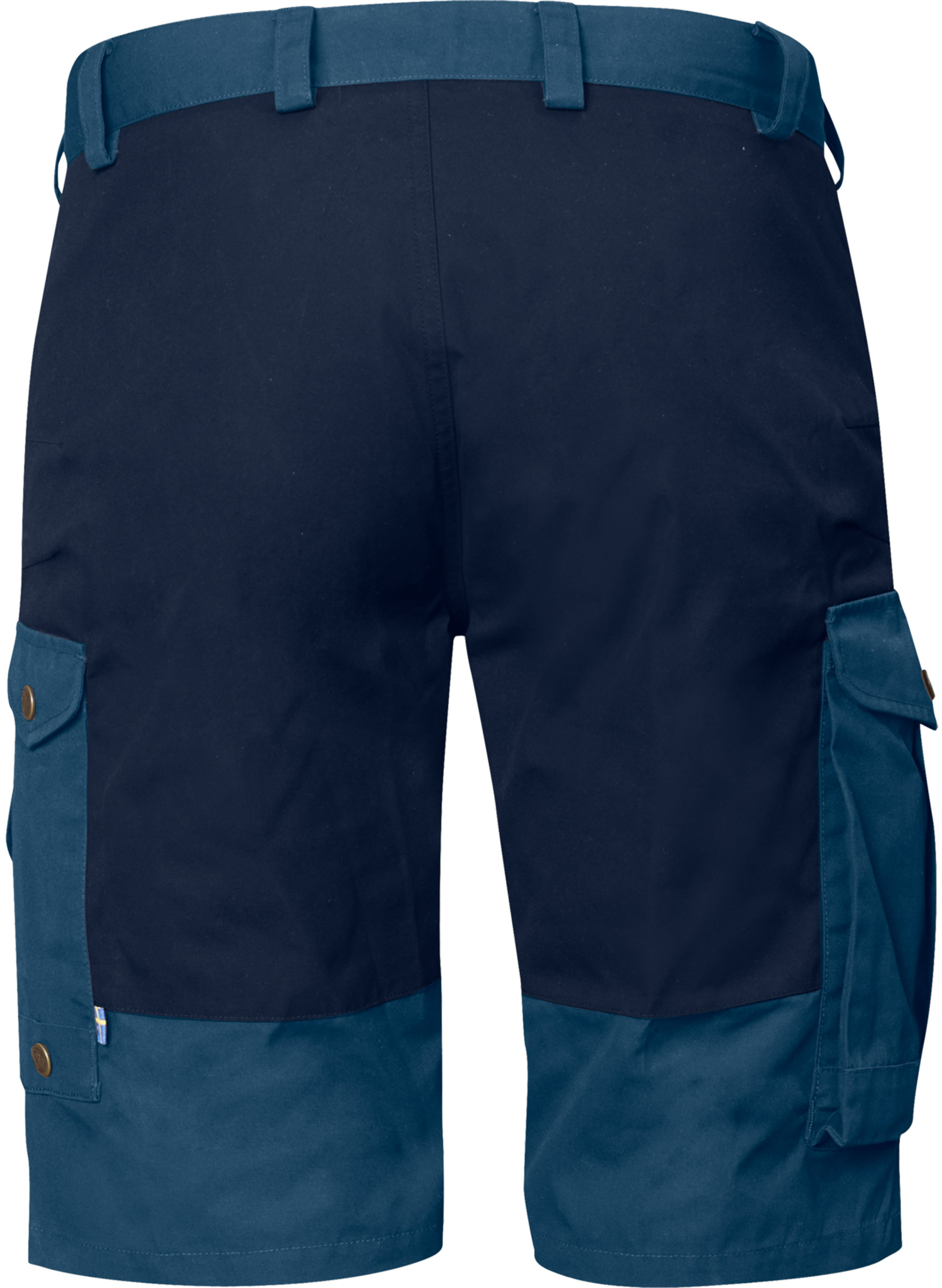 Barents Pro Shorts Herre