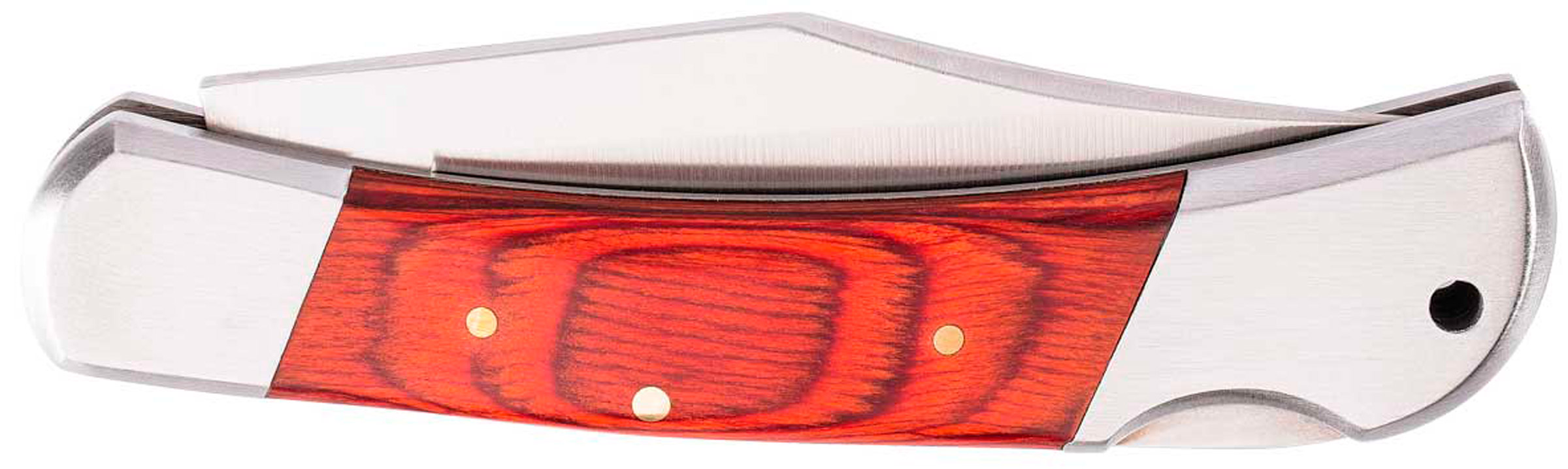 Pakka Wood AISI 420 Foldekniv