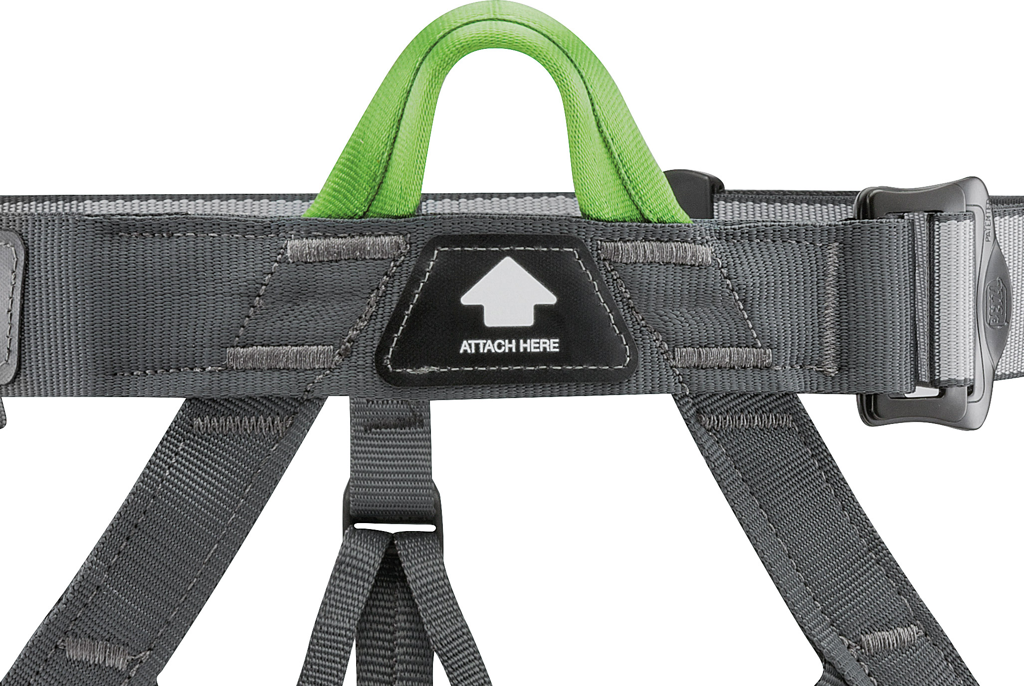 Pandion Harness