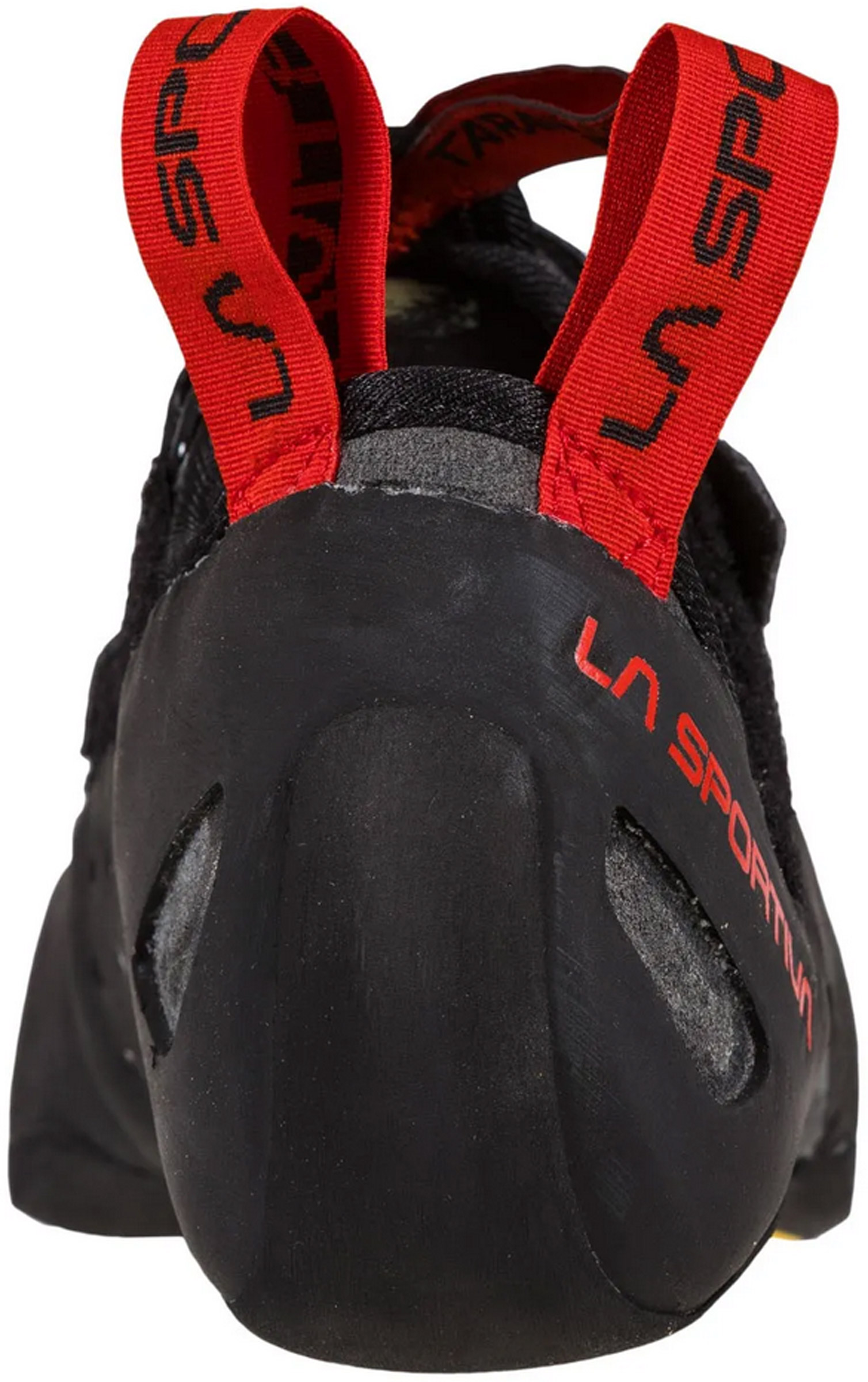 Tarantula Boulder Unisex