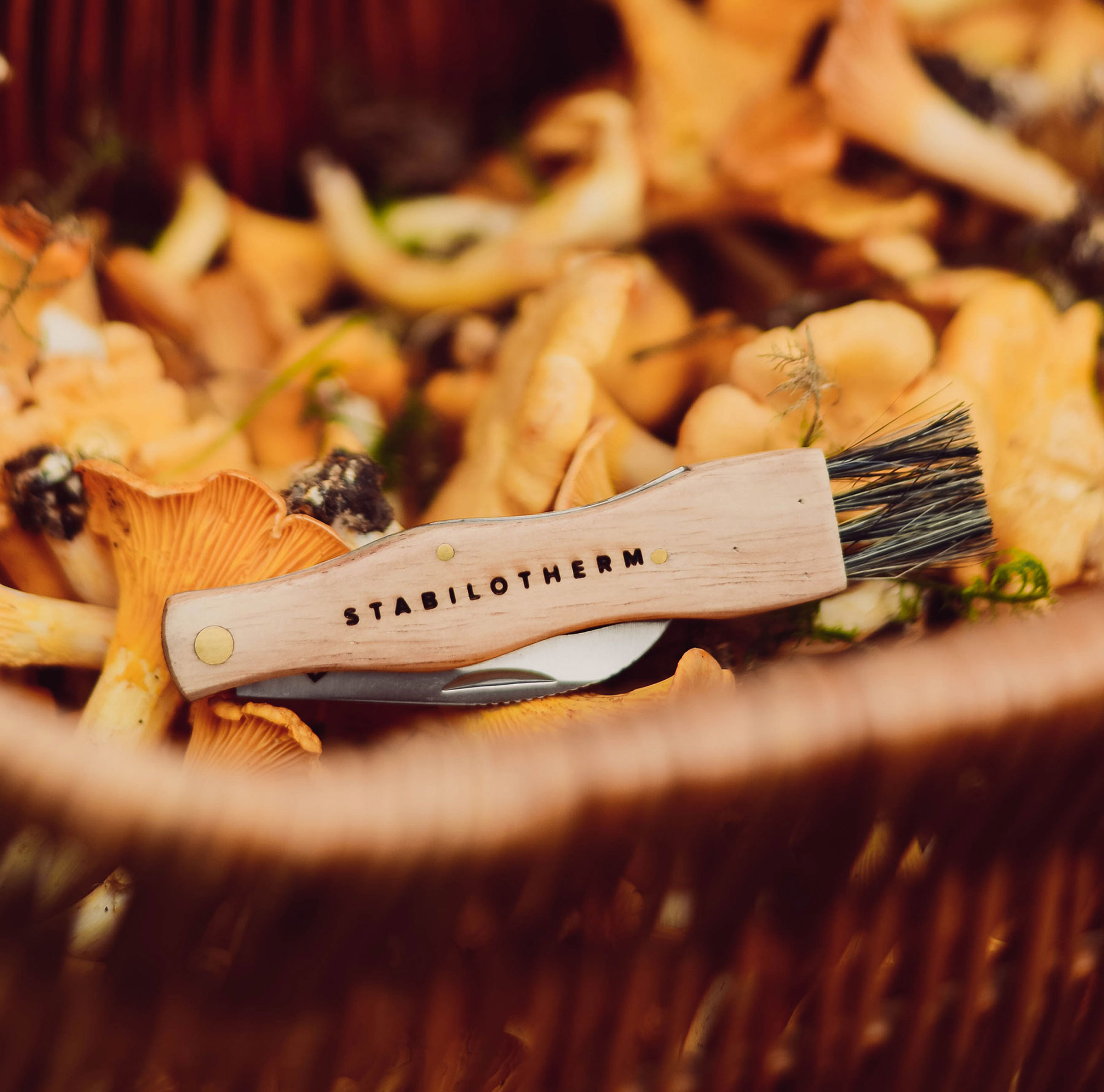 Mushroom Tool Svampekniv
