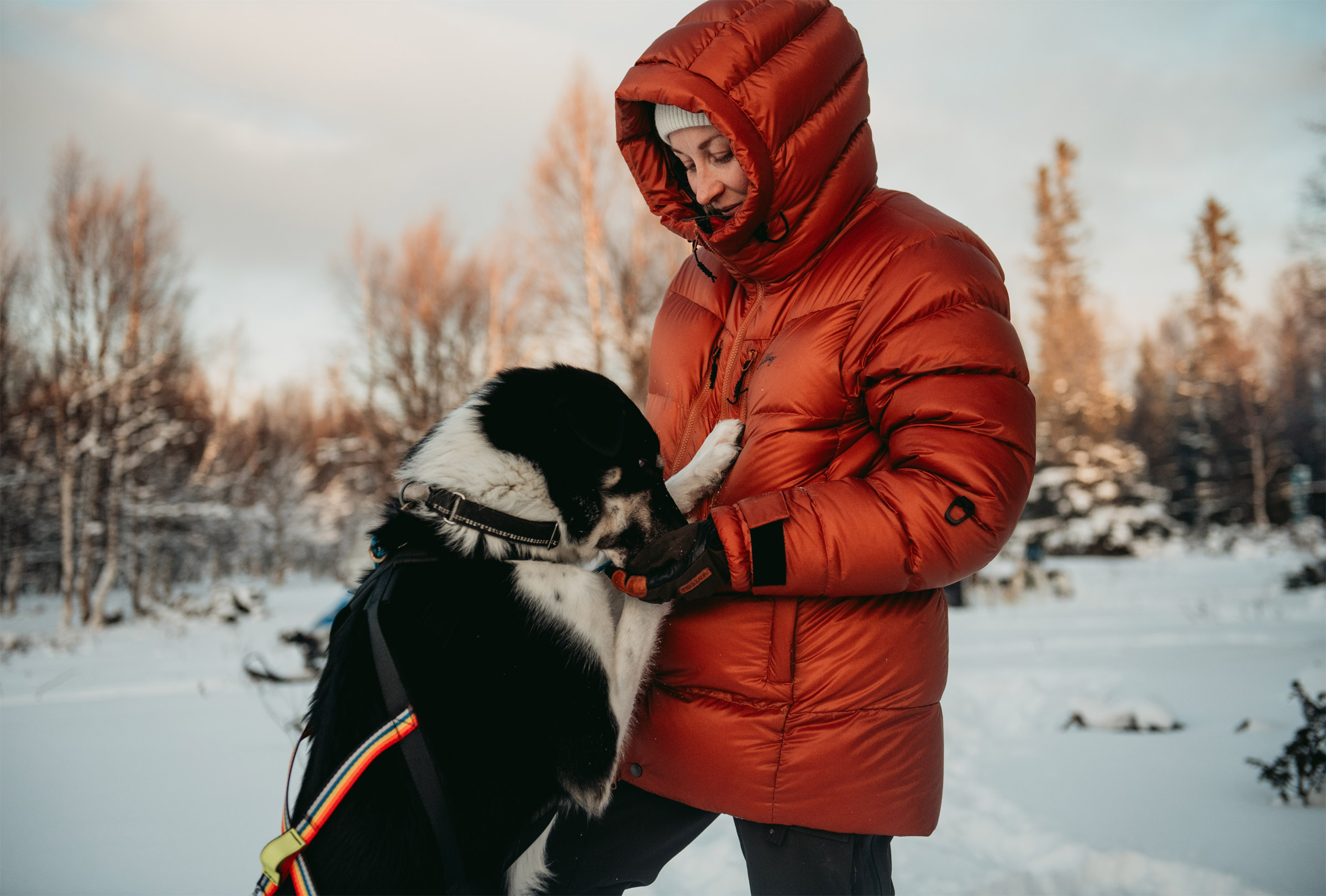 Abisku Adventure Down Parka Dame