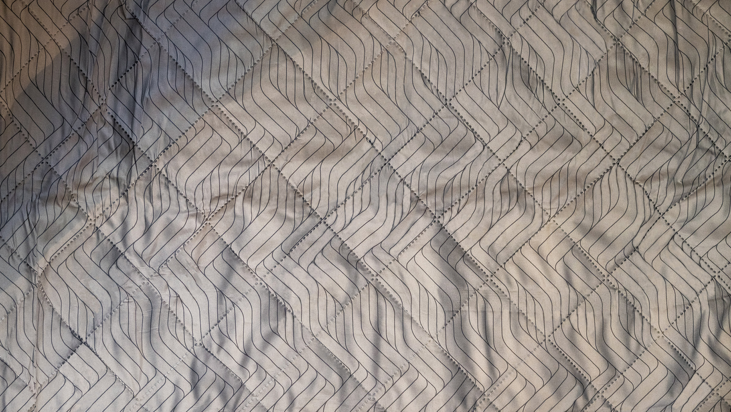 Cozy Carpet Rockwell 4